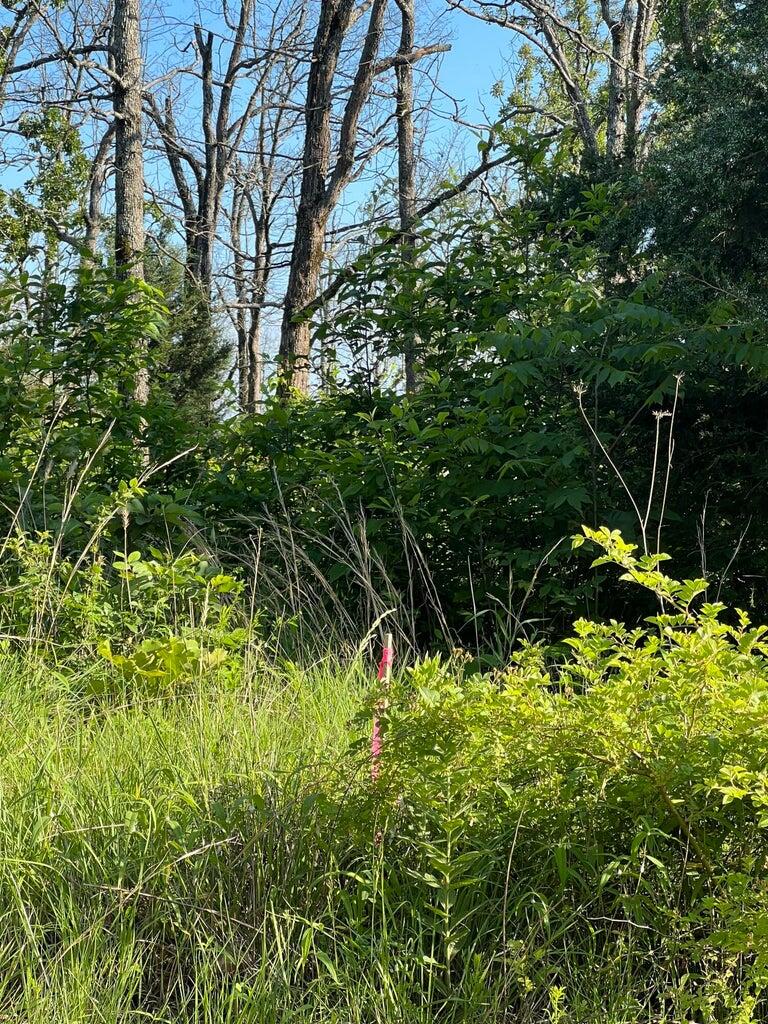 Tbd County Road 553a Property Photo 13