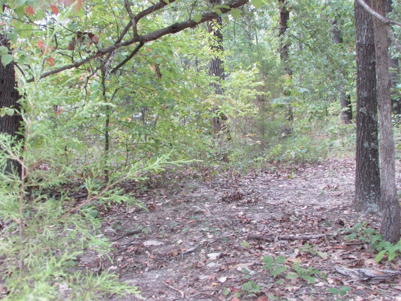 Tbd County Road 553a Property Photo 19