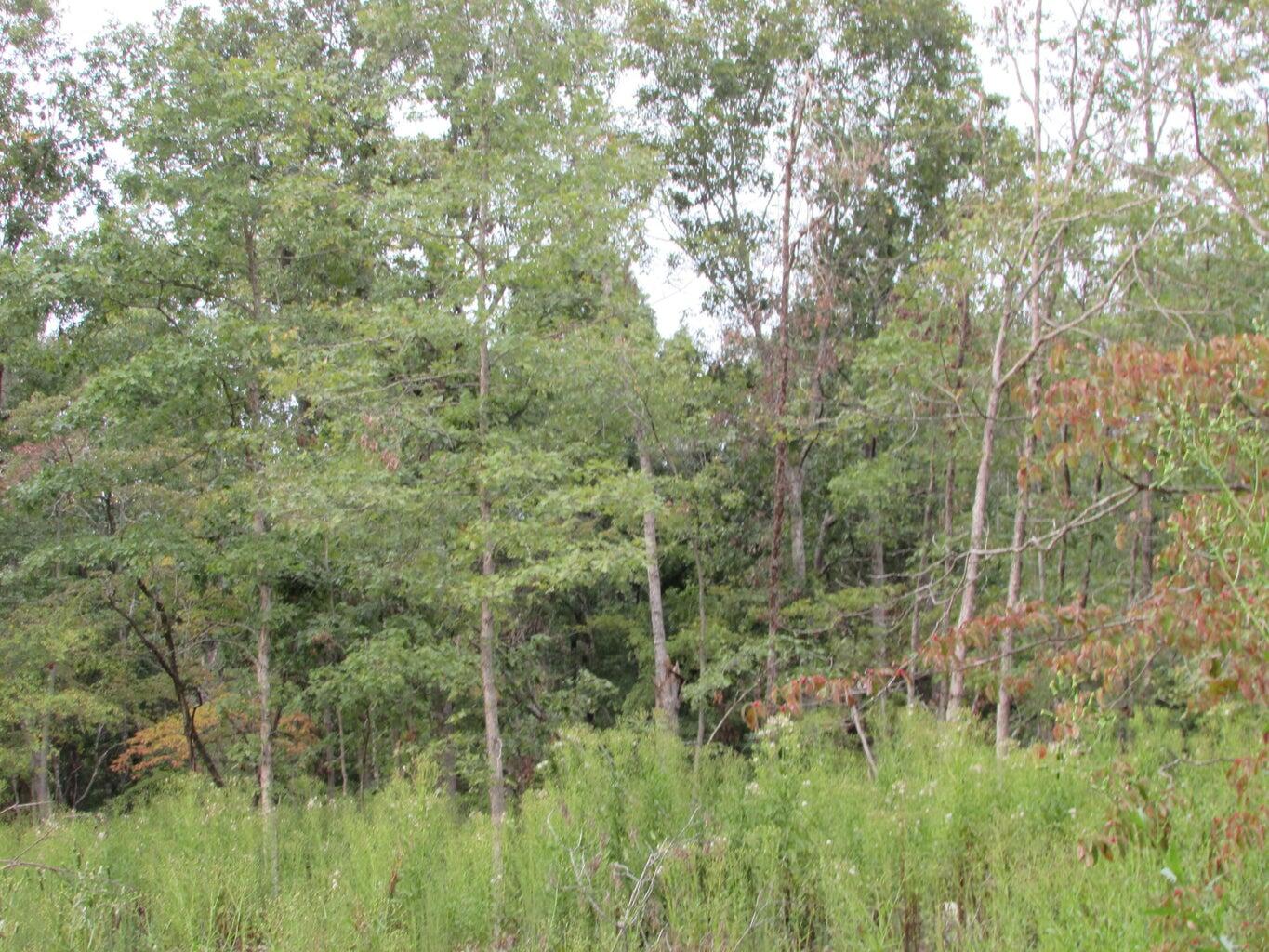 Tbd County Road 553a Property Photo 20