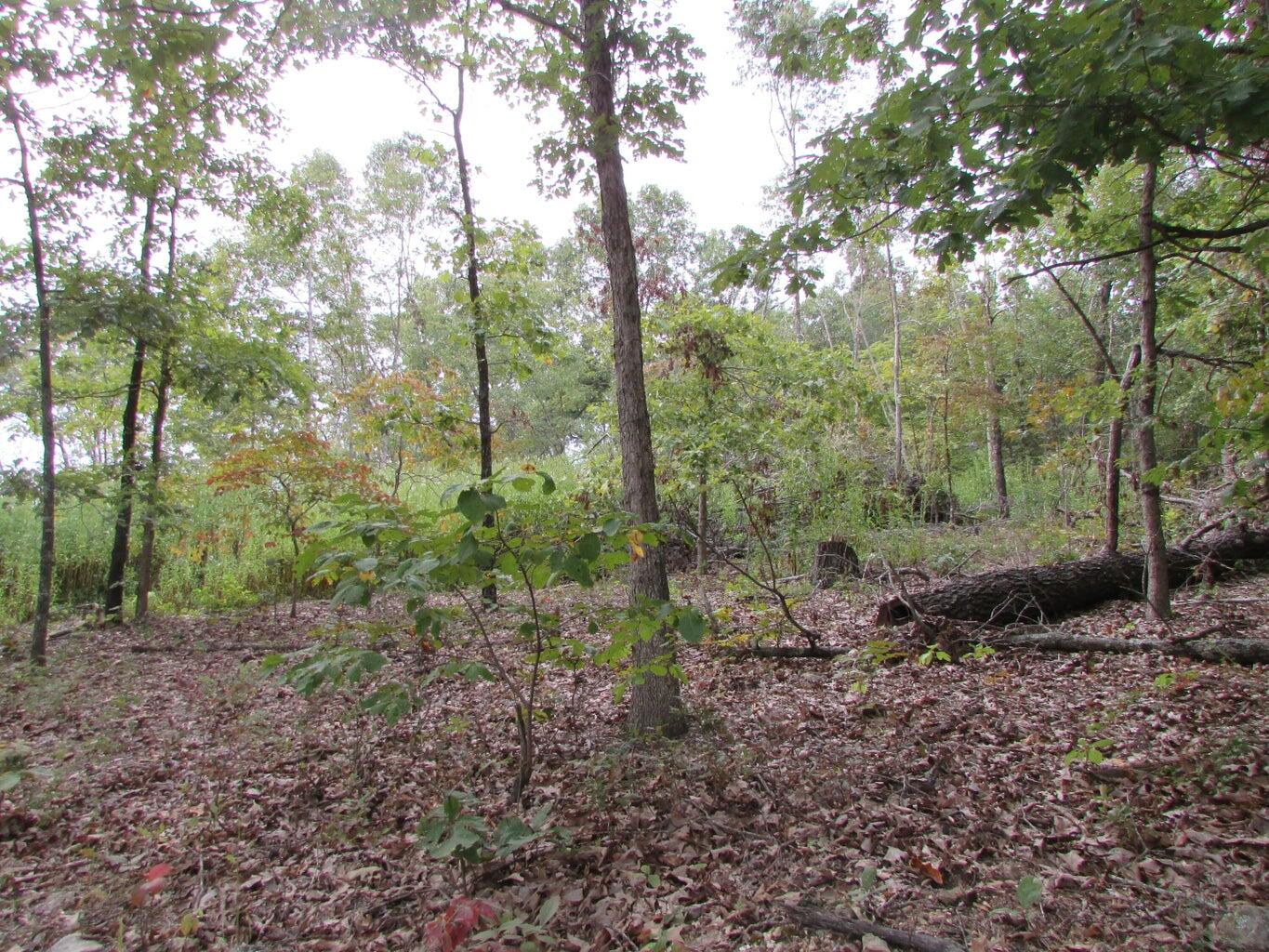 Tbd County Road 553a Property Photo 21