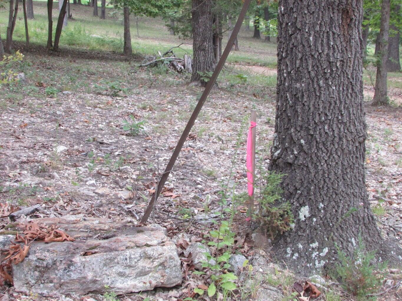 Tbd County Road 553a Property Photo 22