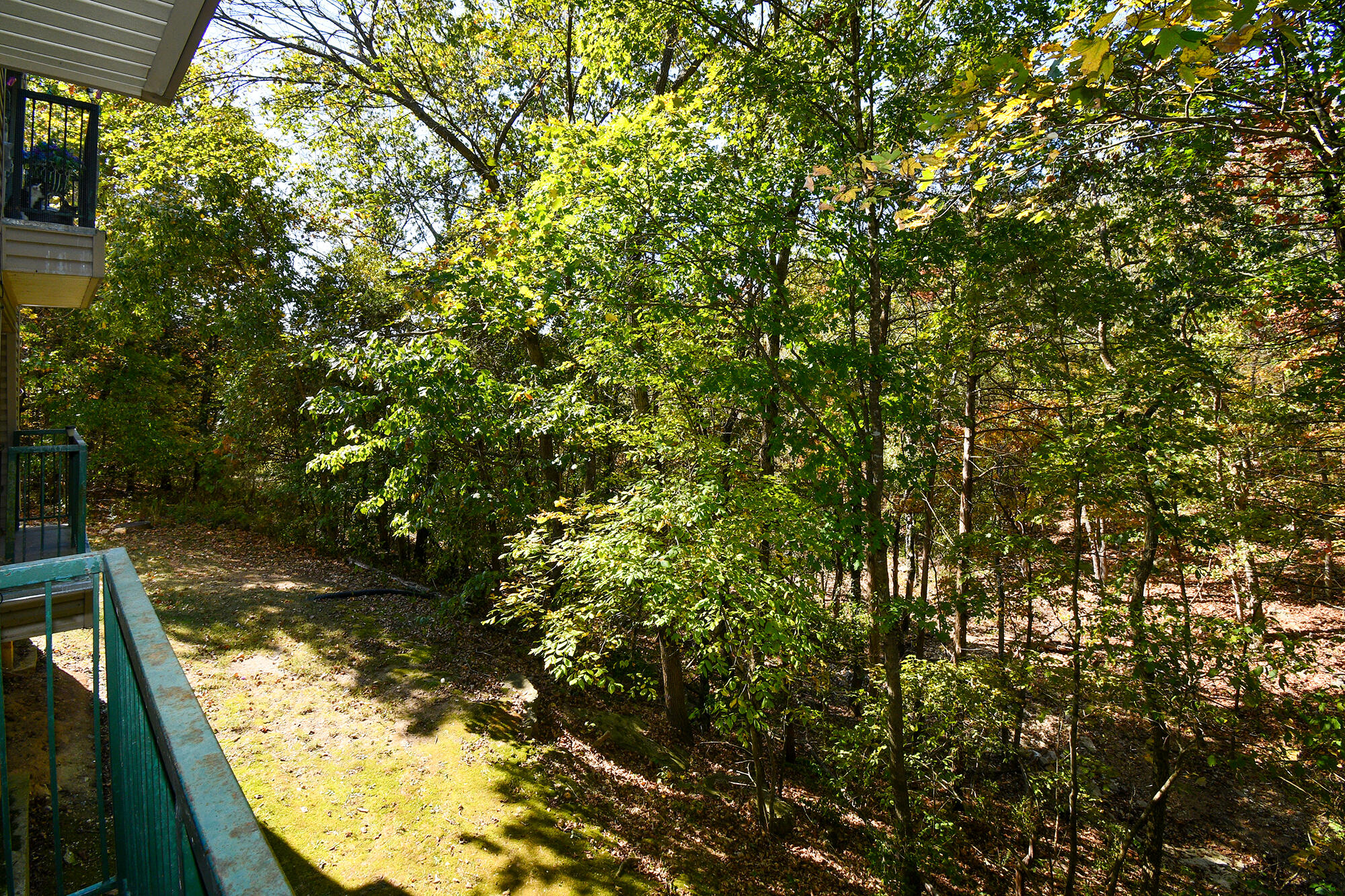 400 East Rockford Drive Property Photo 21