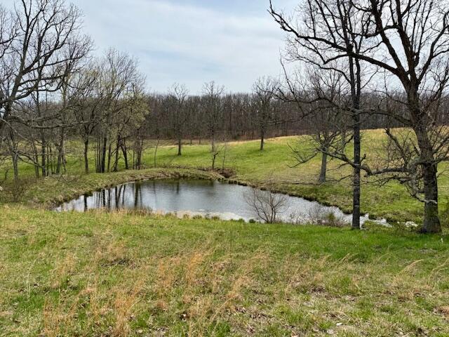 8672 Highway H Property Photo 29