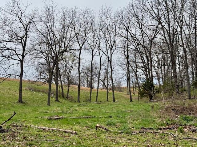8672 Highway H Property Photo 63
