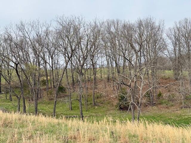 8672 Highway H Property Photo 64