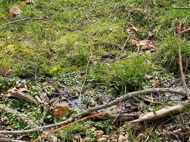 8672 Highway H Property Photo 65