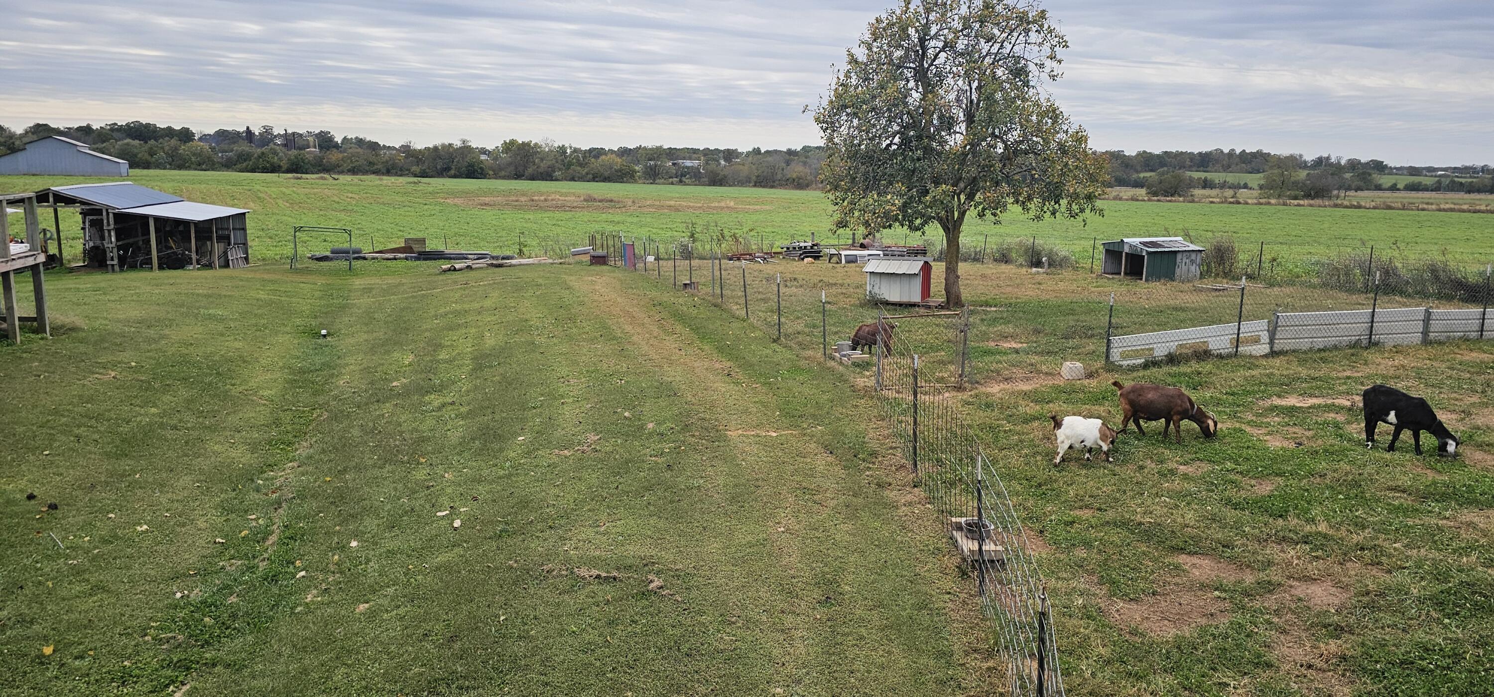 6604 County Road 8240 Property Photo 3