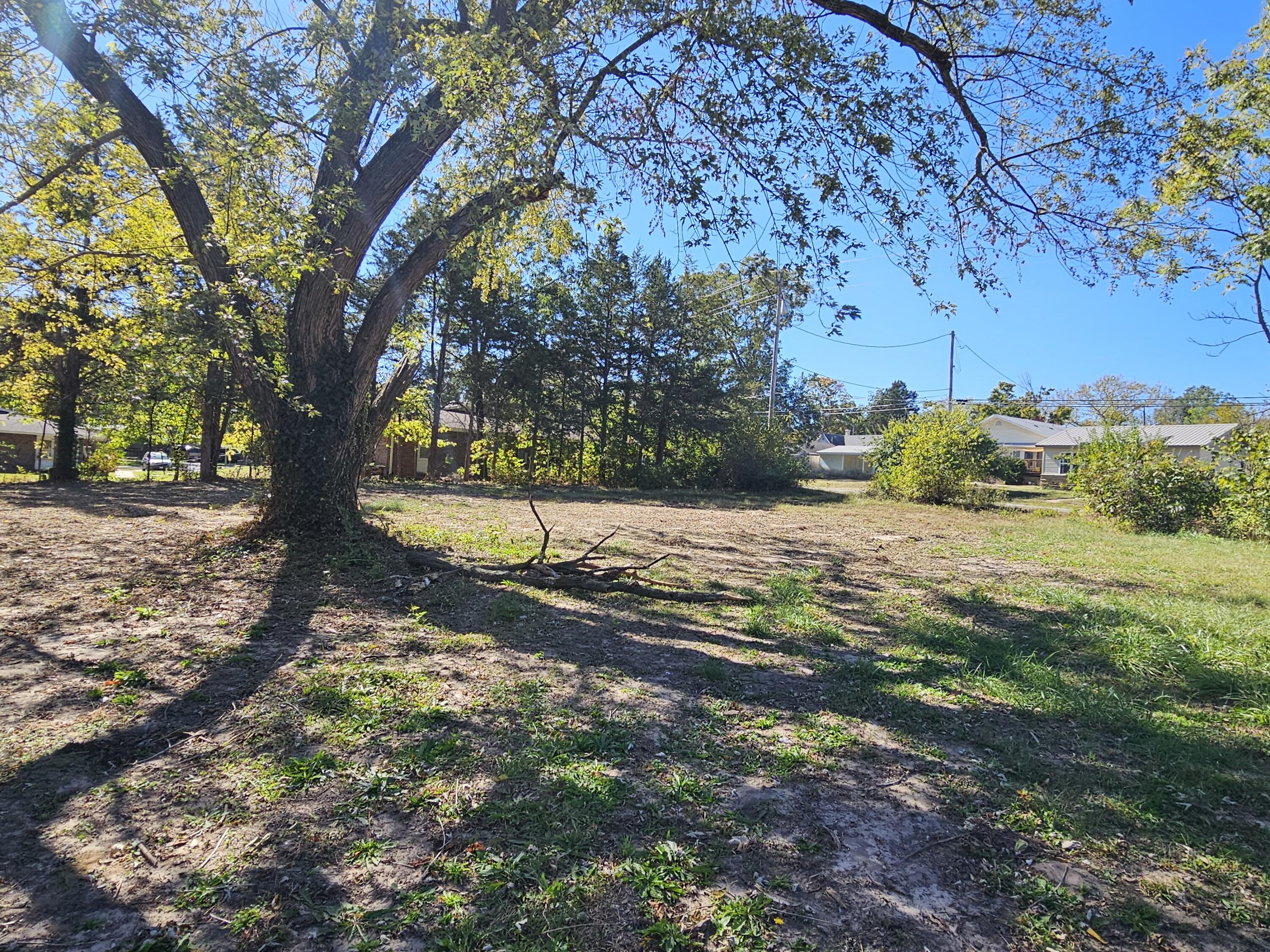204 East Olive Street Property Photo 4