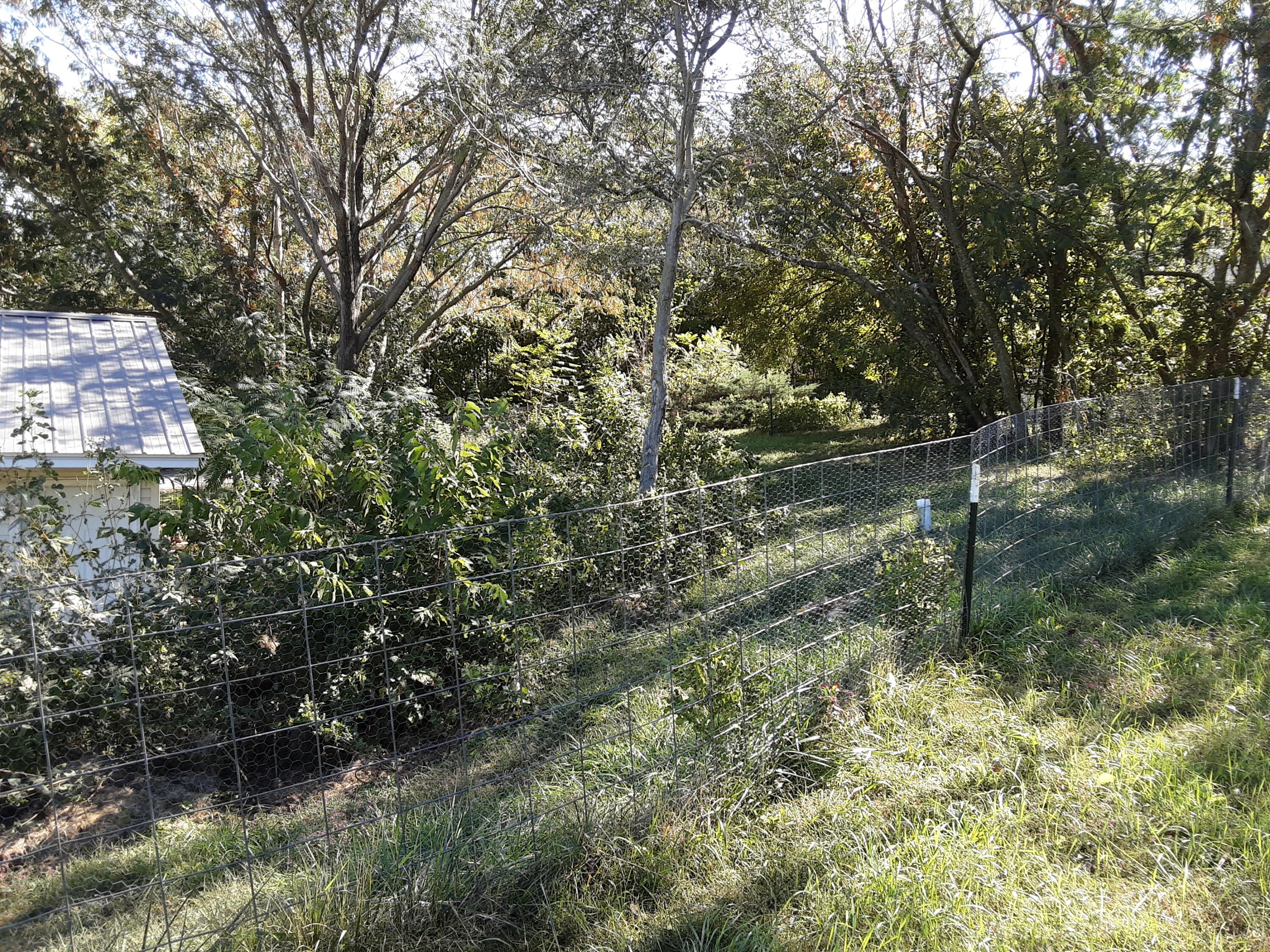 311 South Brown Street Property Photo 7