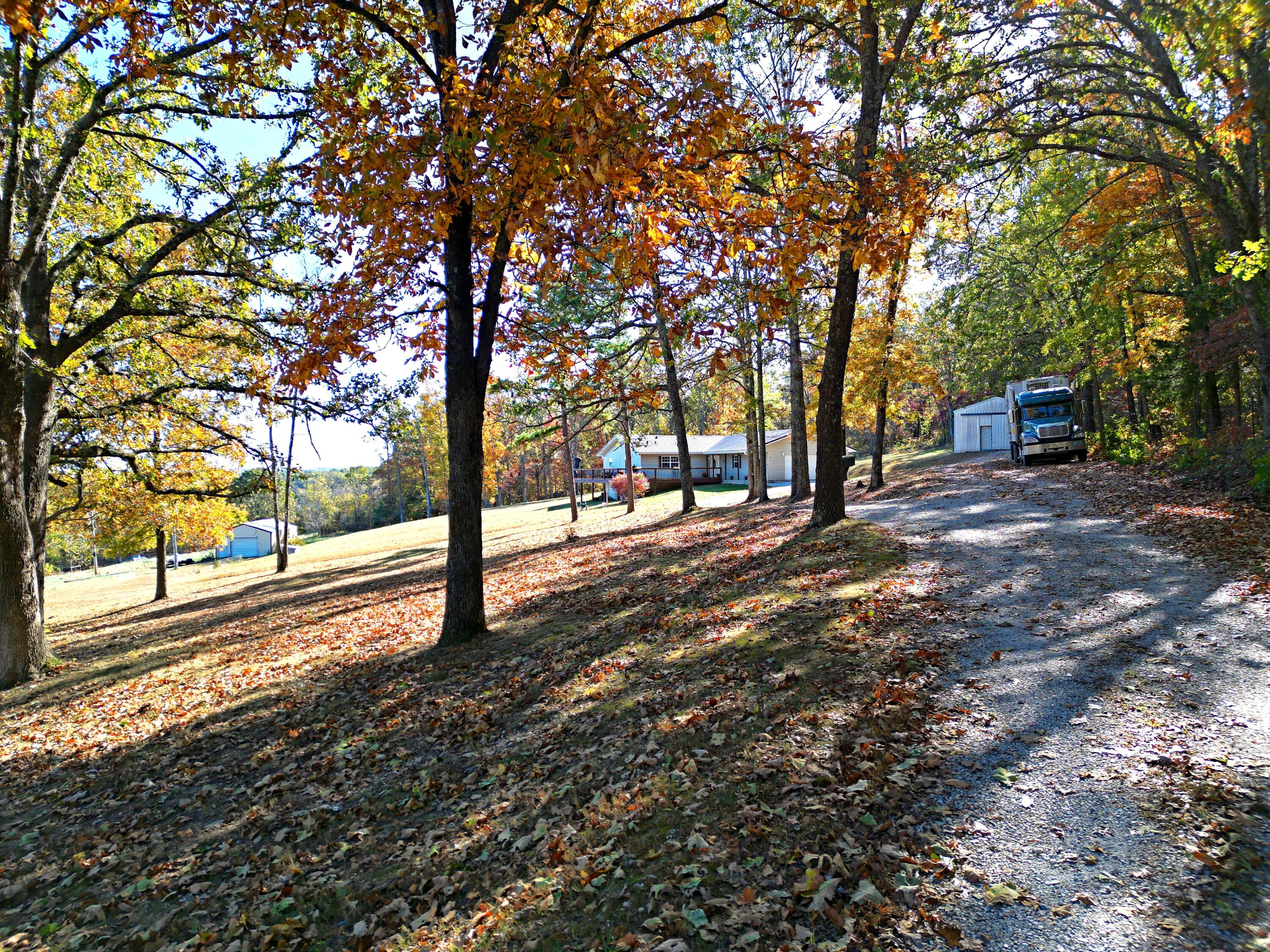 610 Mining Land Drive Property Photo 4