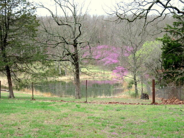 257 Firefly Lane Property Photo 4