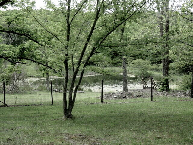 257 Firefly Lane Property Photo 30