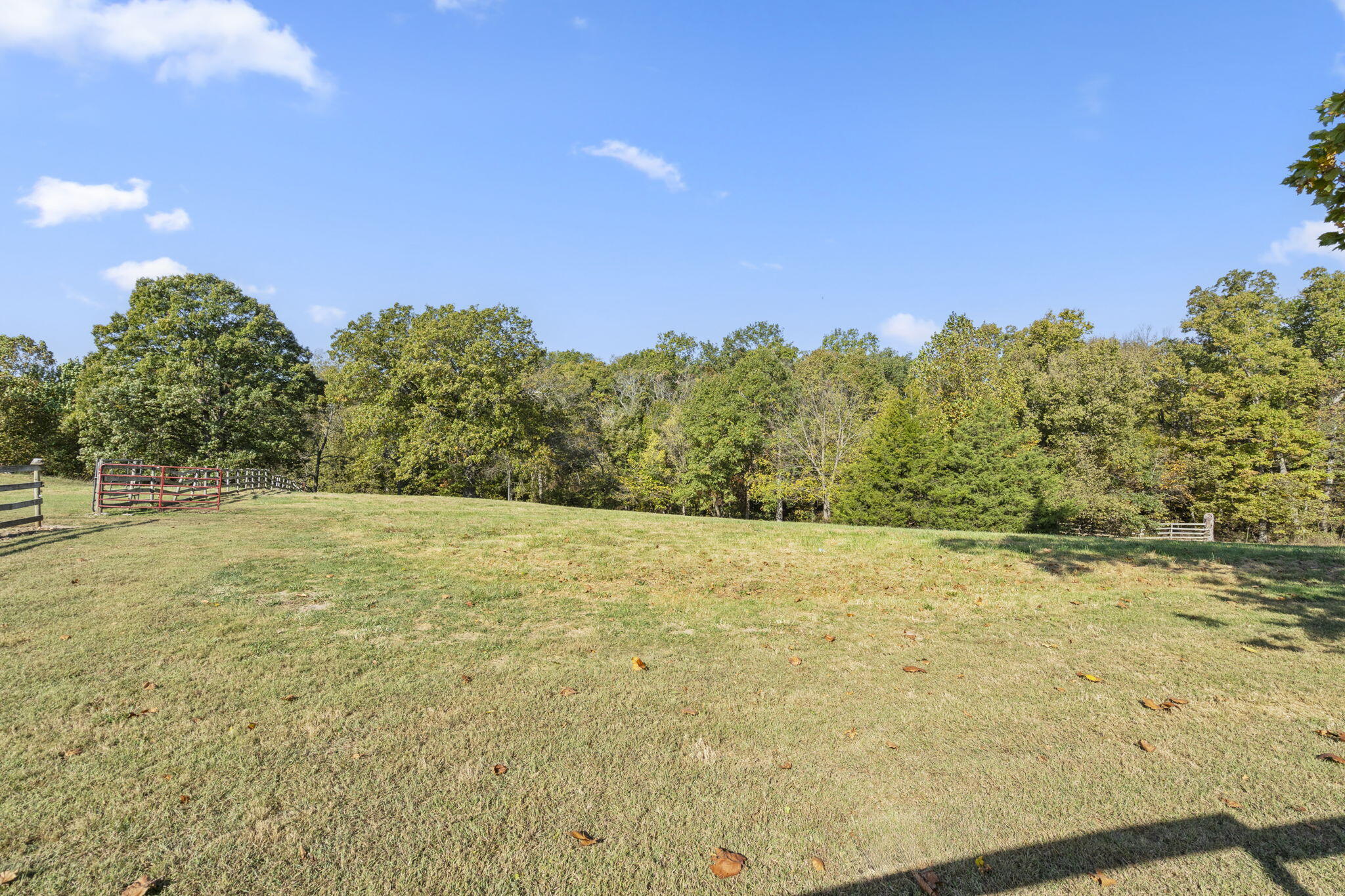 443 Wildflower Lane Property Photo 38