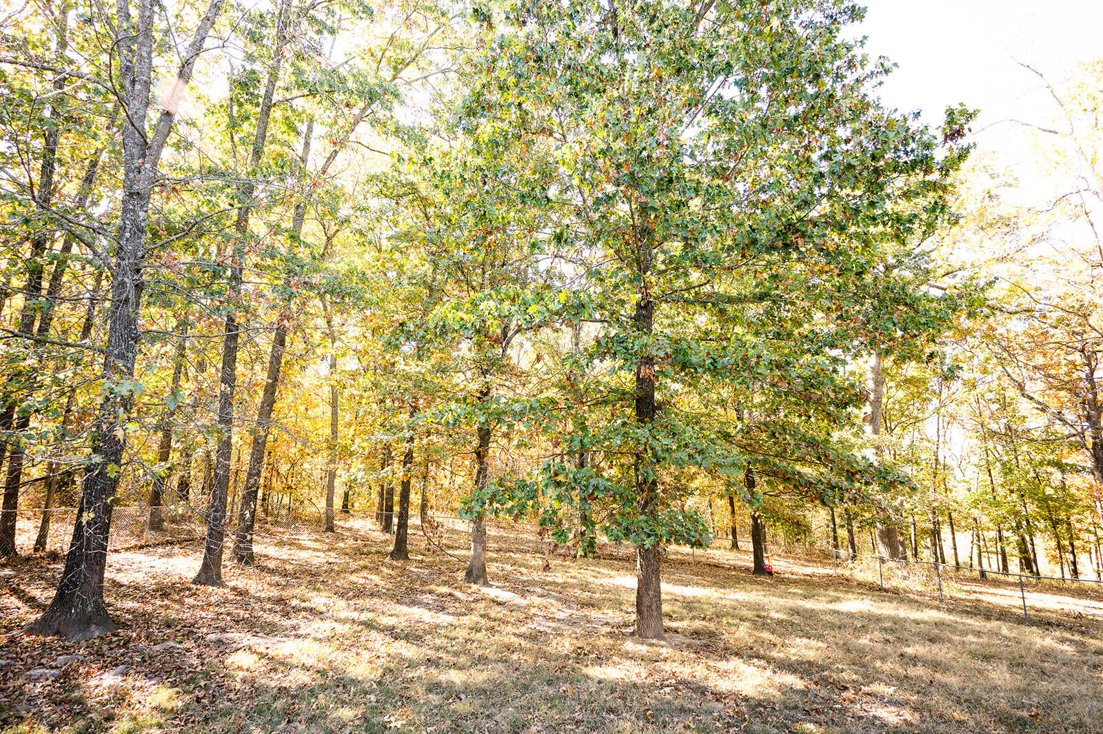 21620 County Road 232 Property Photo 44
