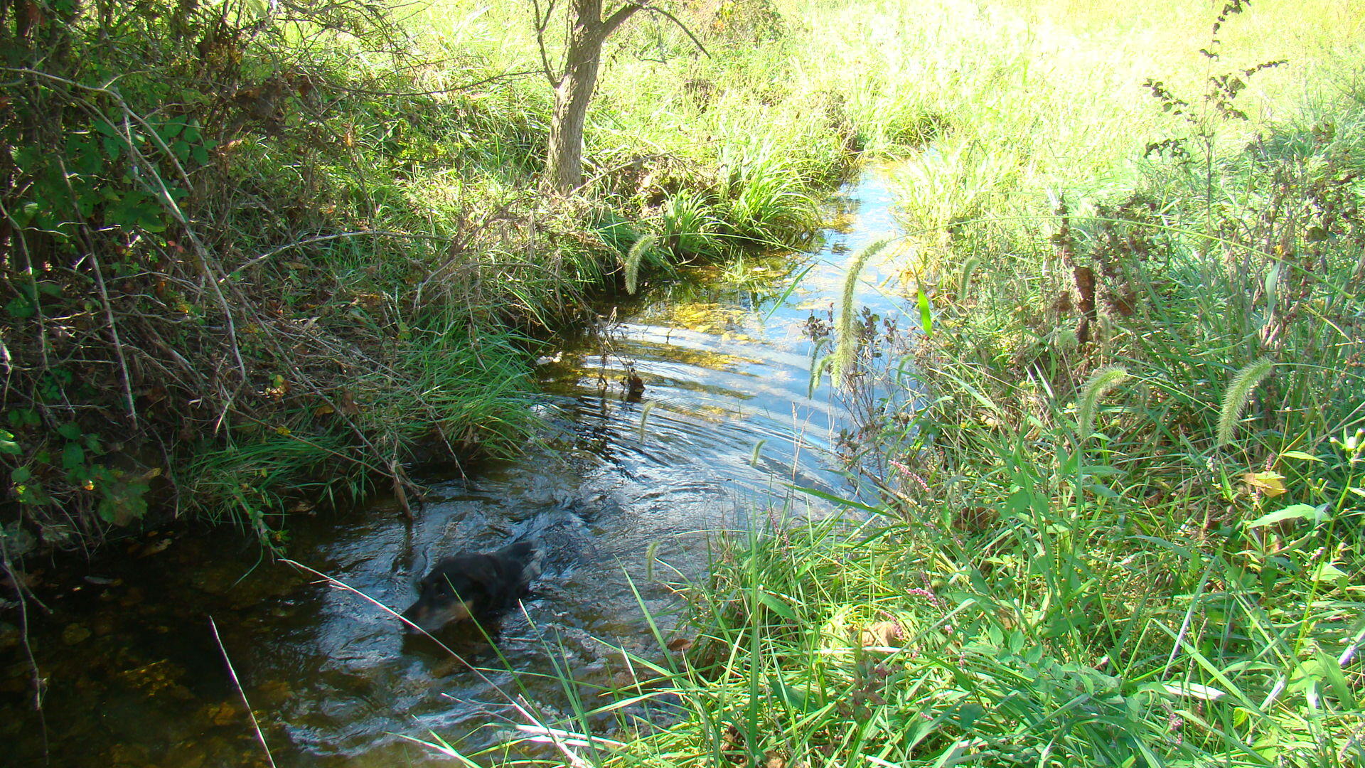 8672 Highway H Property Photo 41