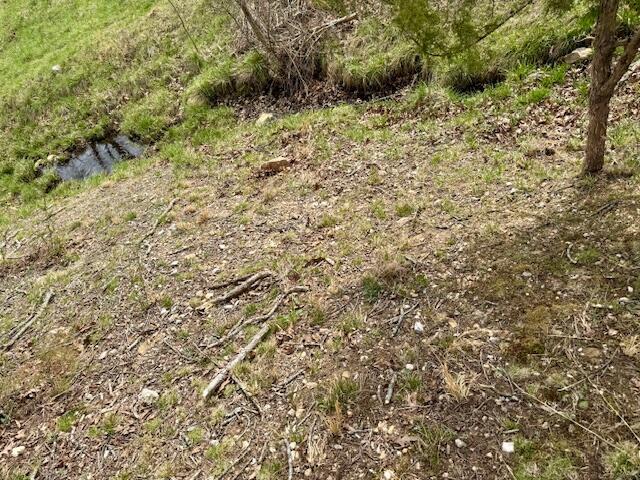 8672 Highway H Property Photo 68