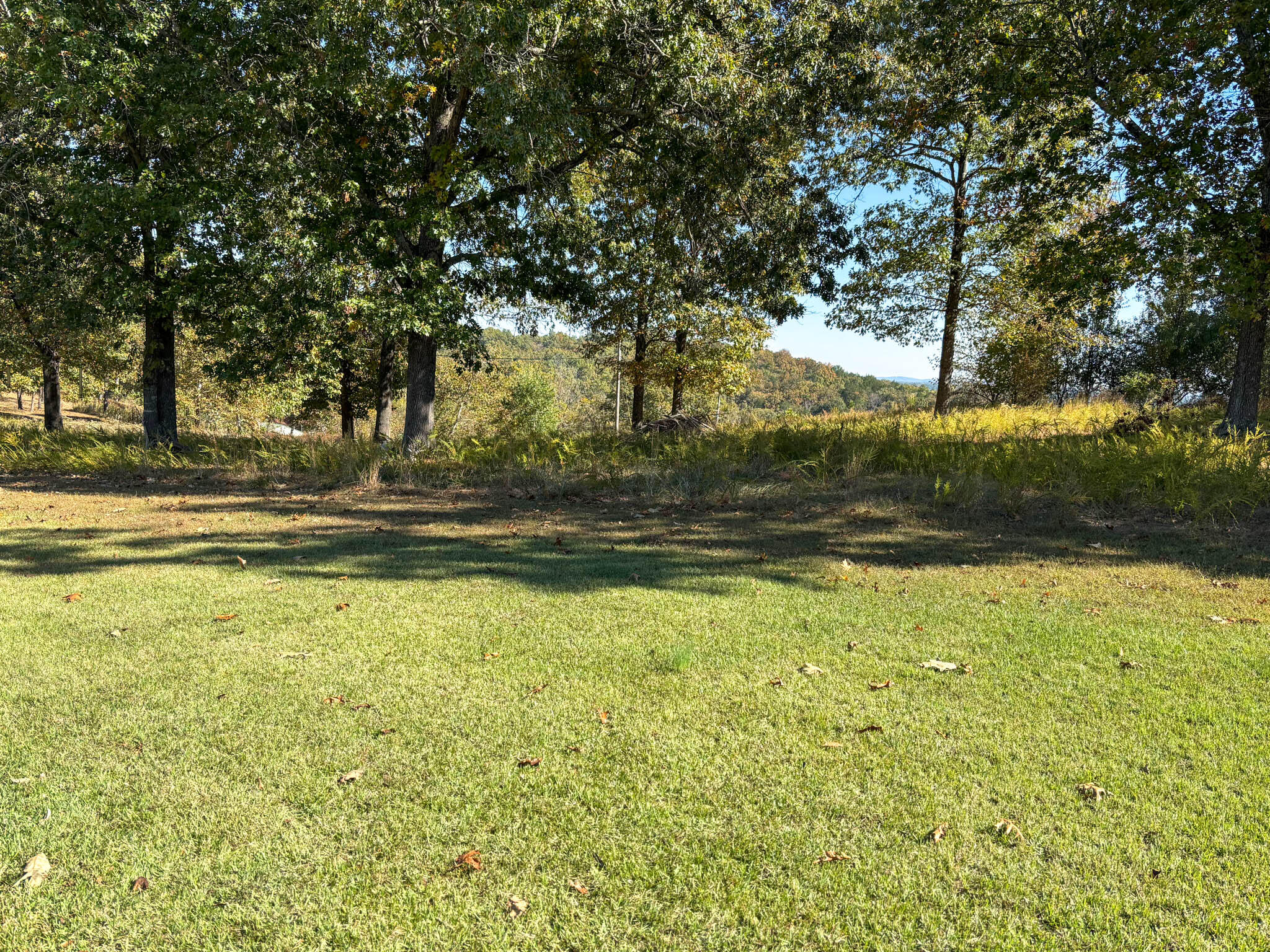 221 Beachwood Street Property Photo 26