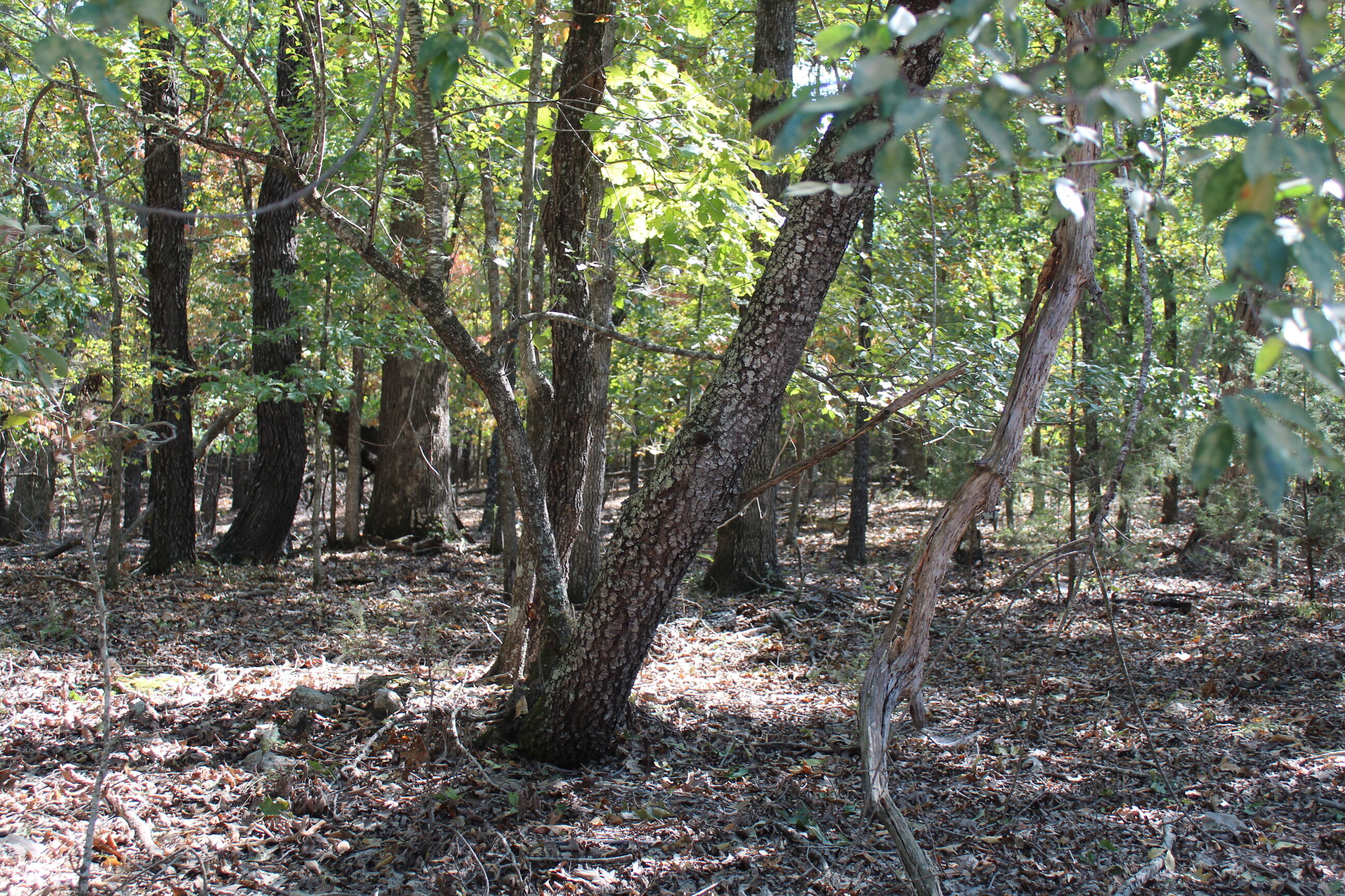 000 Blue Lake Drive Property Photo 3