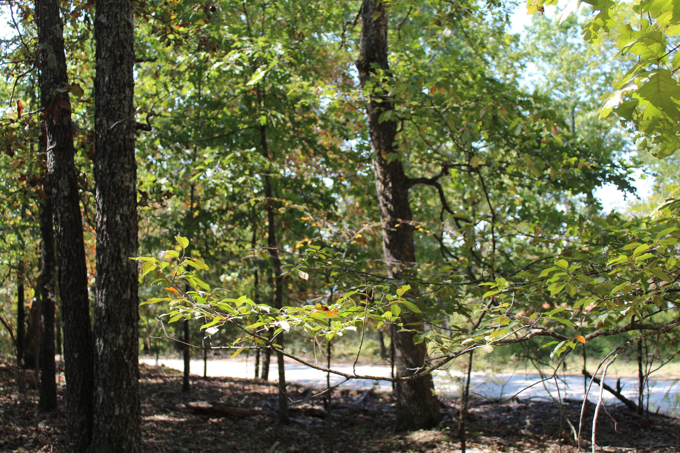 000 Blue Lake Drive Property Photo 4