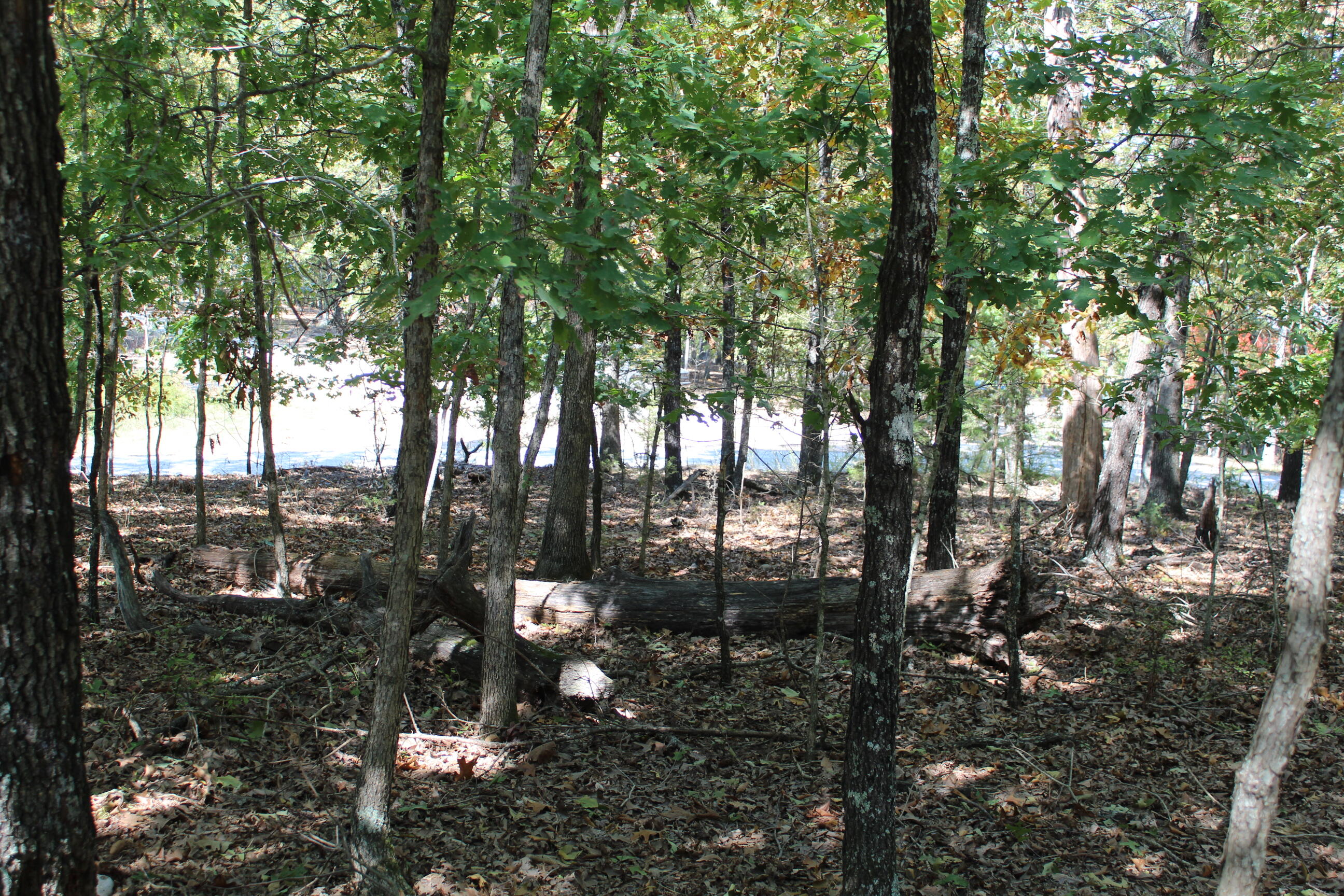 000 Blue Lake Drive Property Photo 8