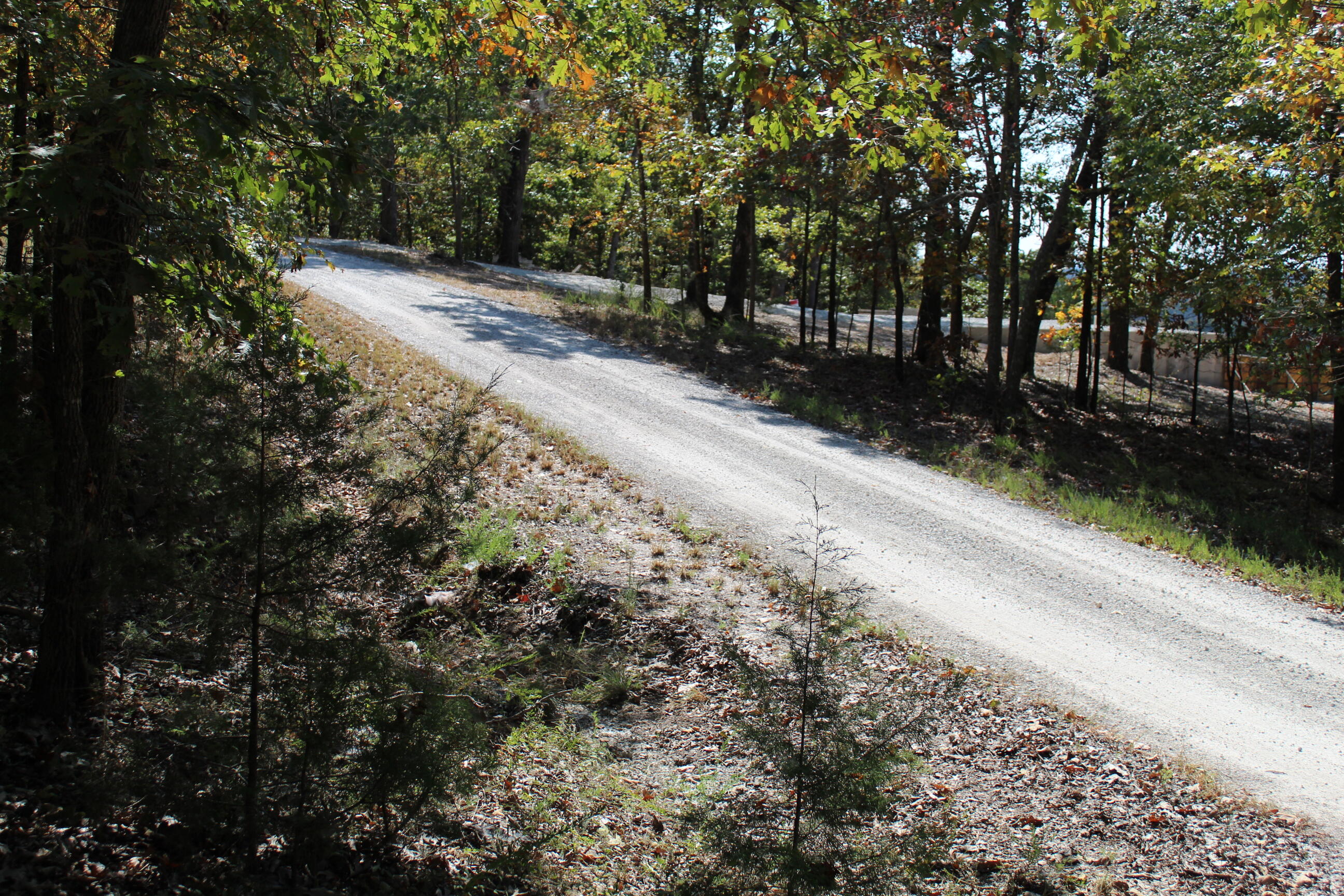 000 Blue Lake Drive Property Photo 9