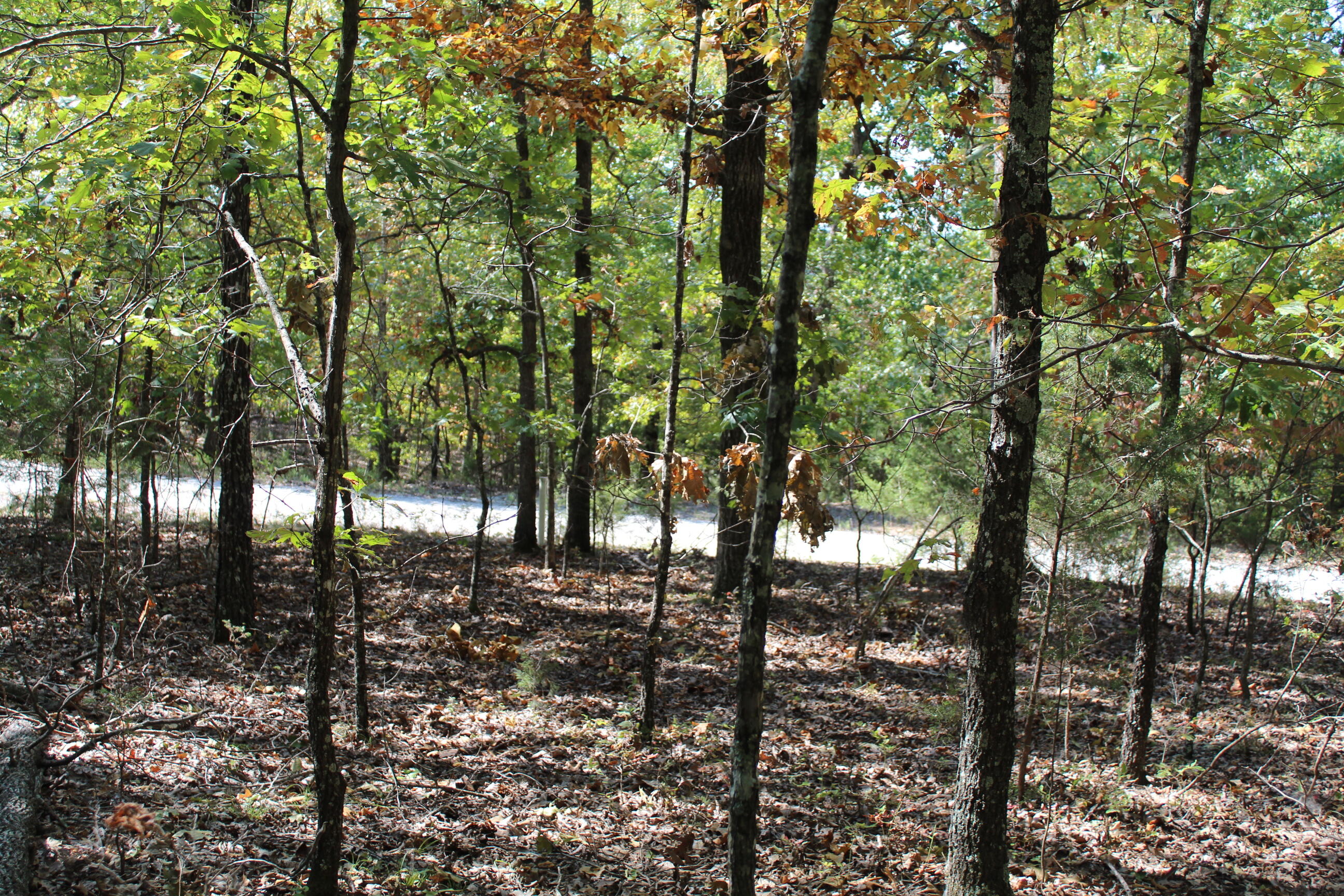 000 Blue Lake Drive Property Photo 10