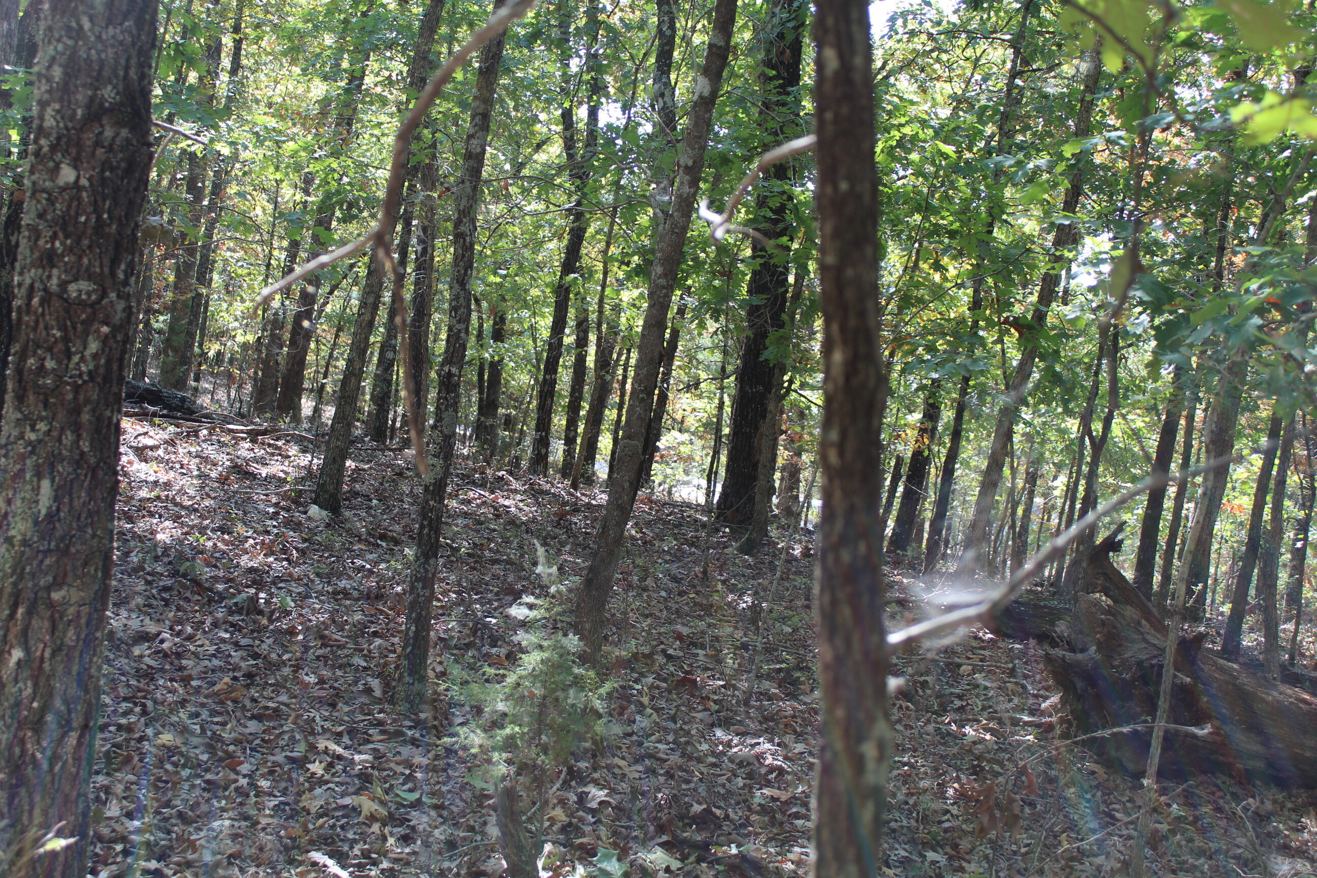 000 Blue Lake Drive Property Photo 11
