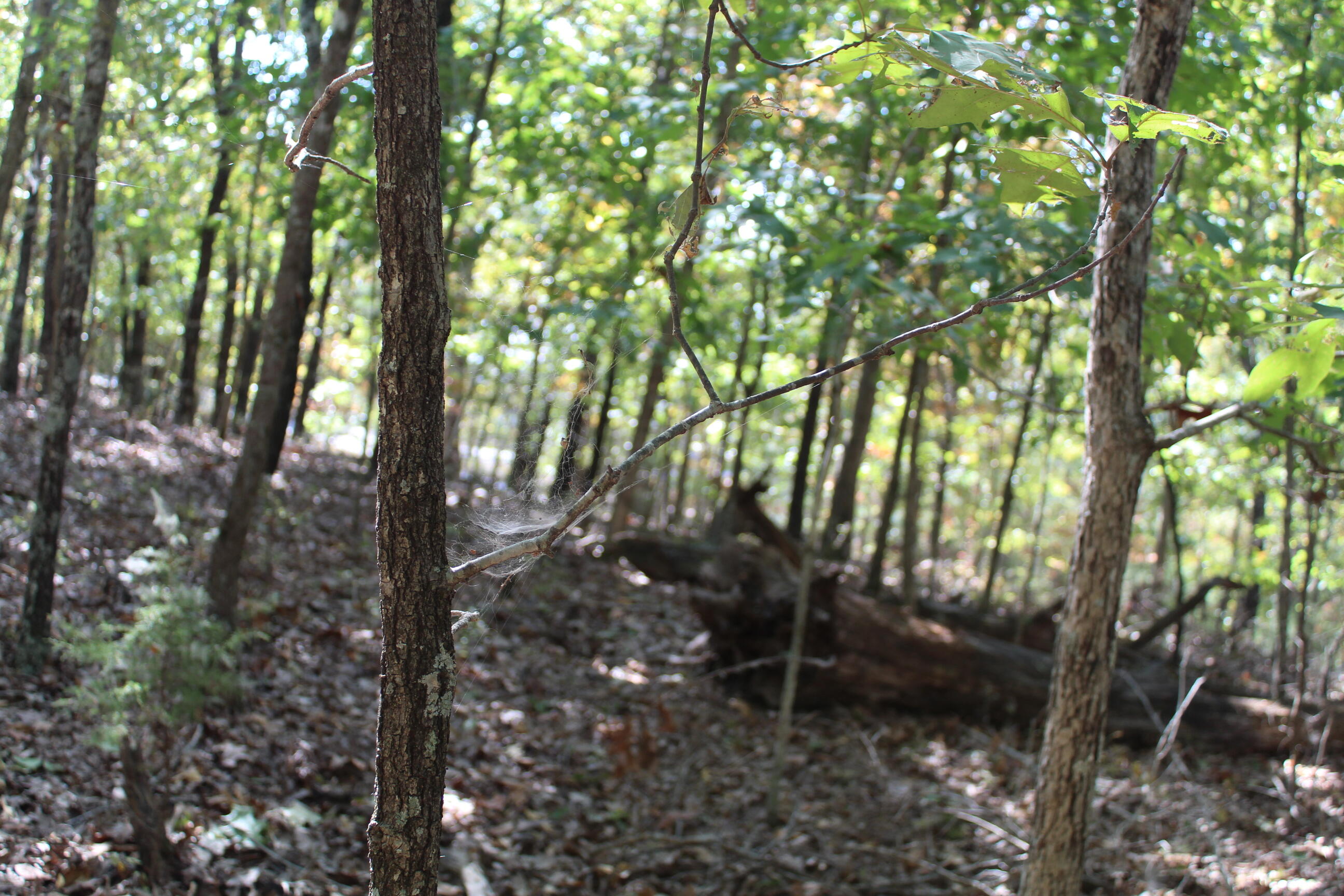 000 Blue Lake Drive Property Photo 12