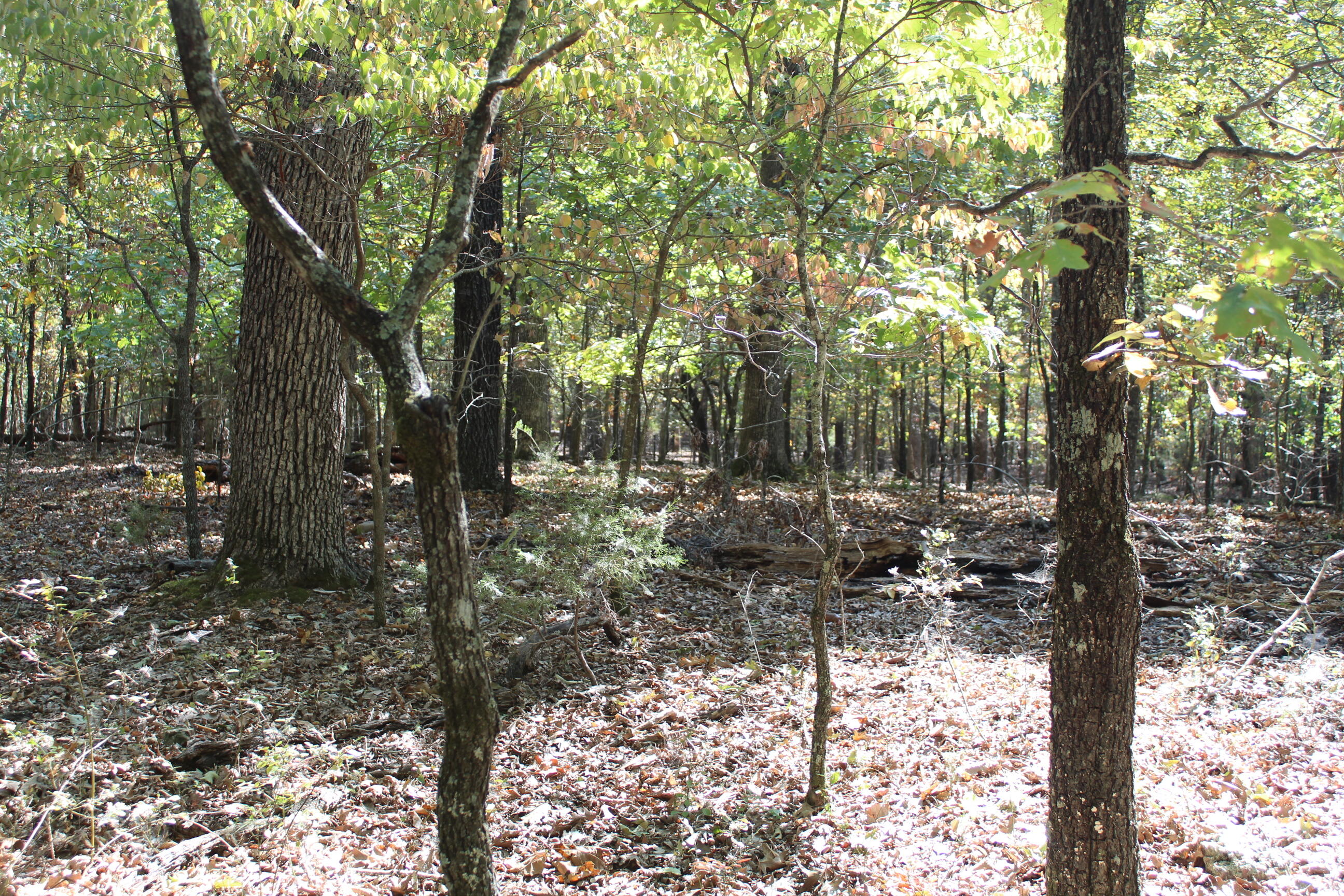 000 Blue Lake Drive Property Photo 14