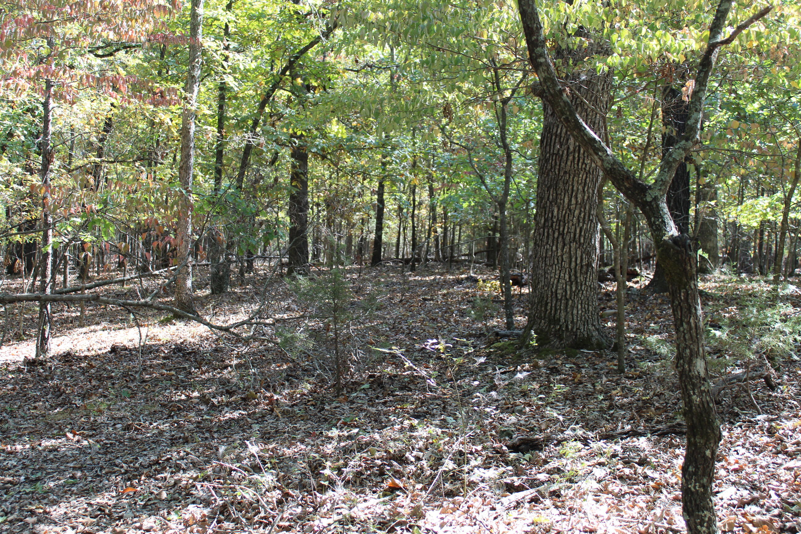000 Blue Lake Drive Property Photo 15