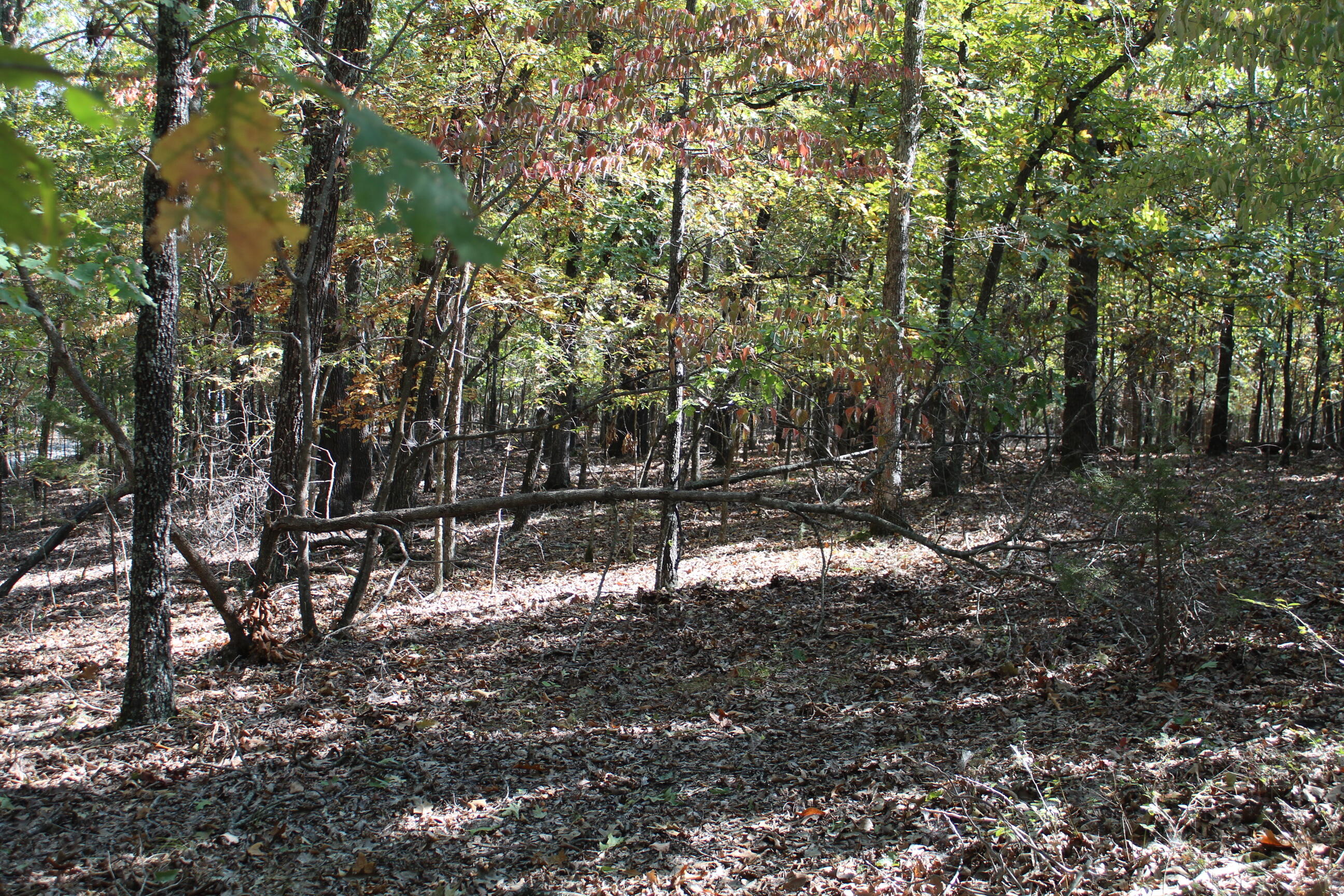 000 Blue Lake Drive Property Photo 16