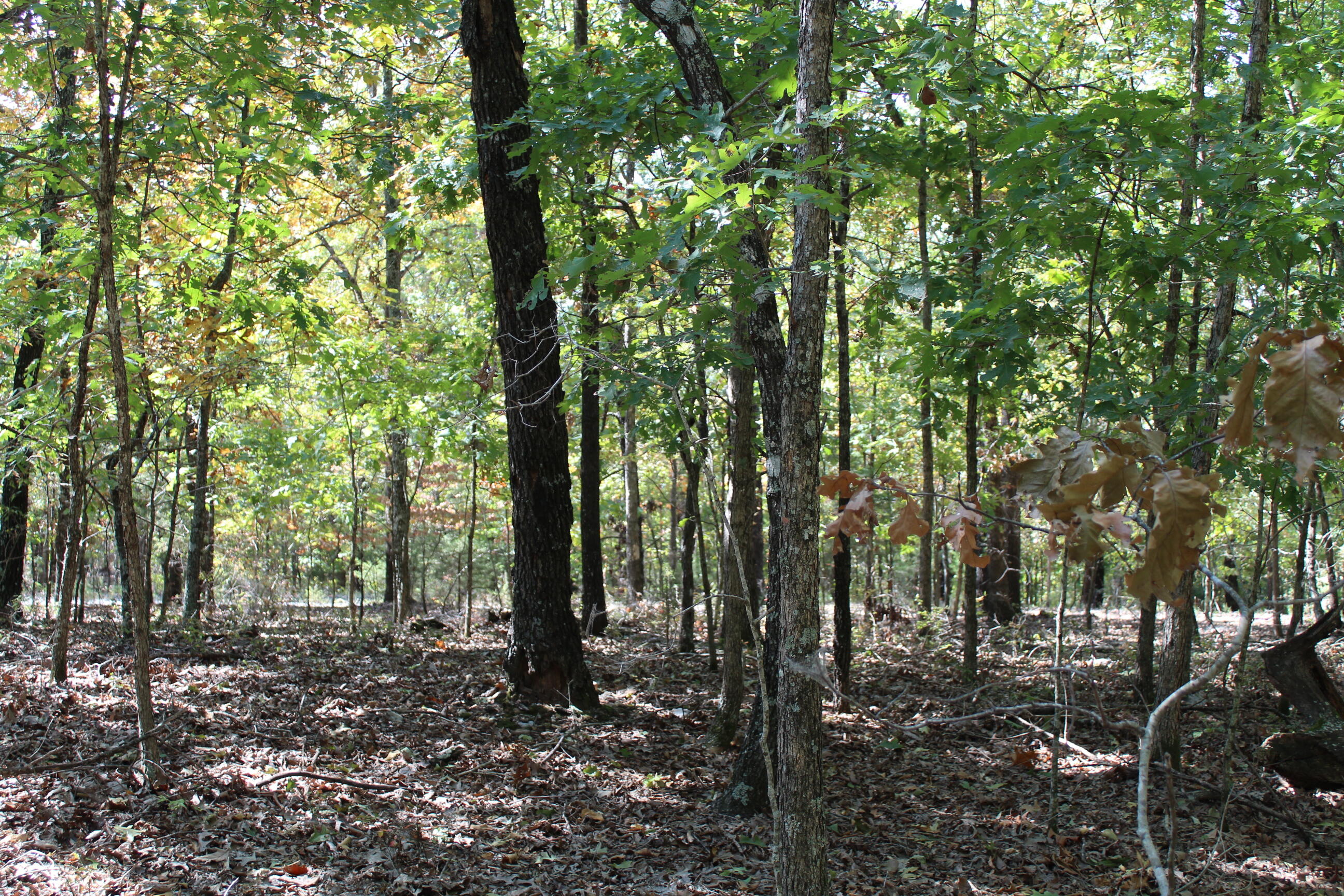 000 Blue Lake Drive Property Photo 17