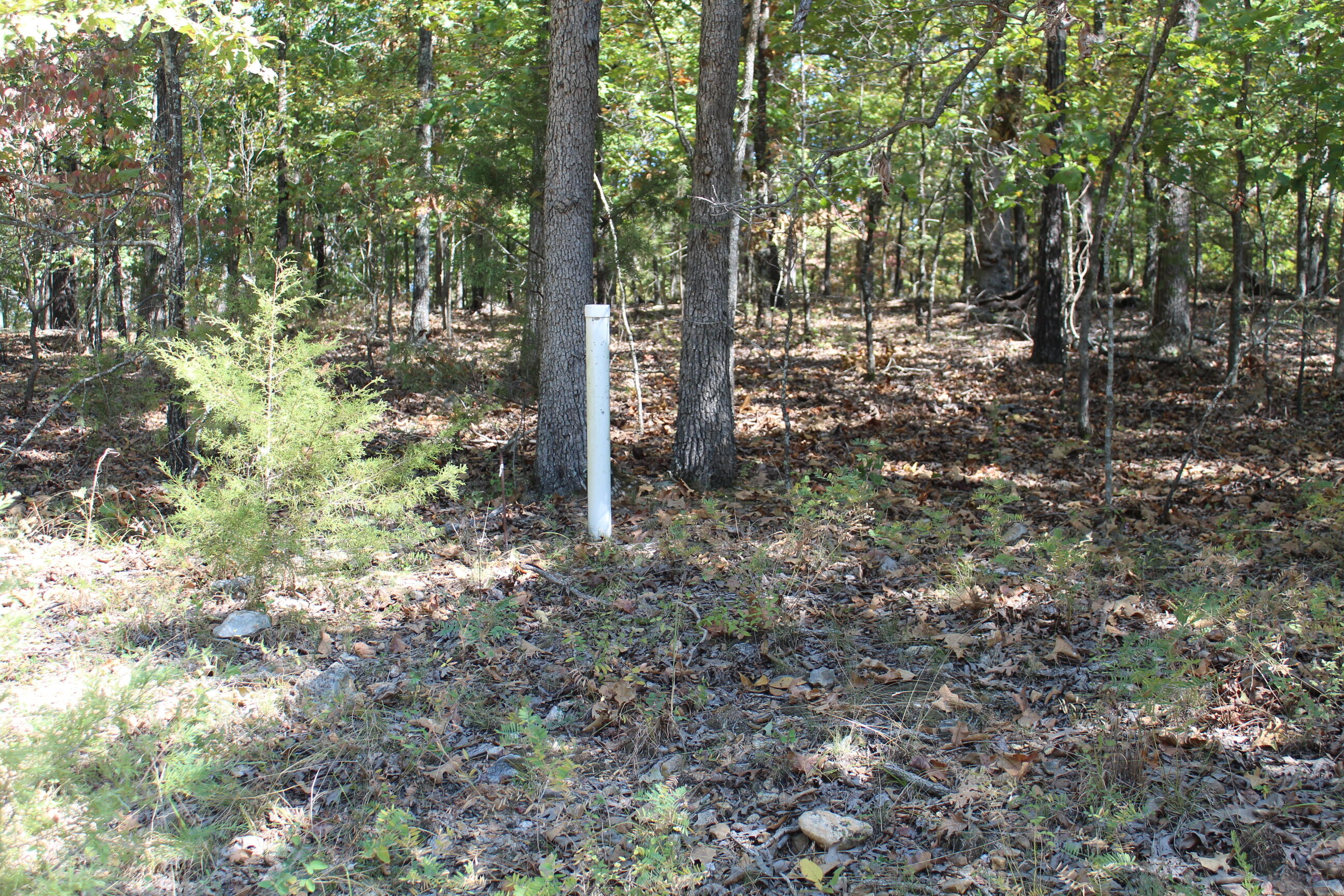 000 Blue Lake Drive Property Photo 21