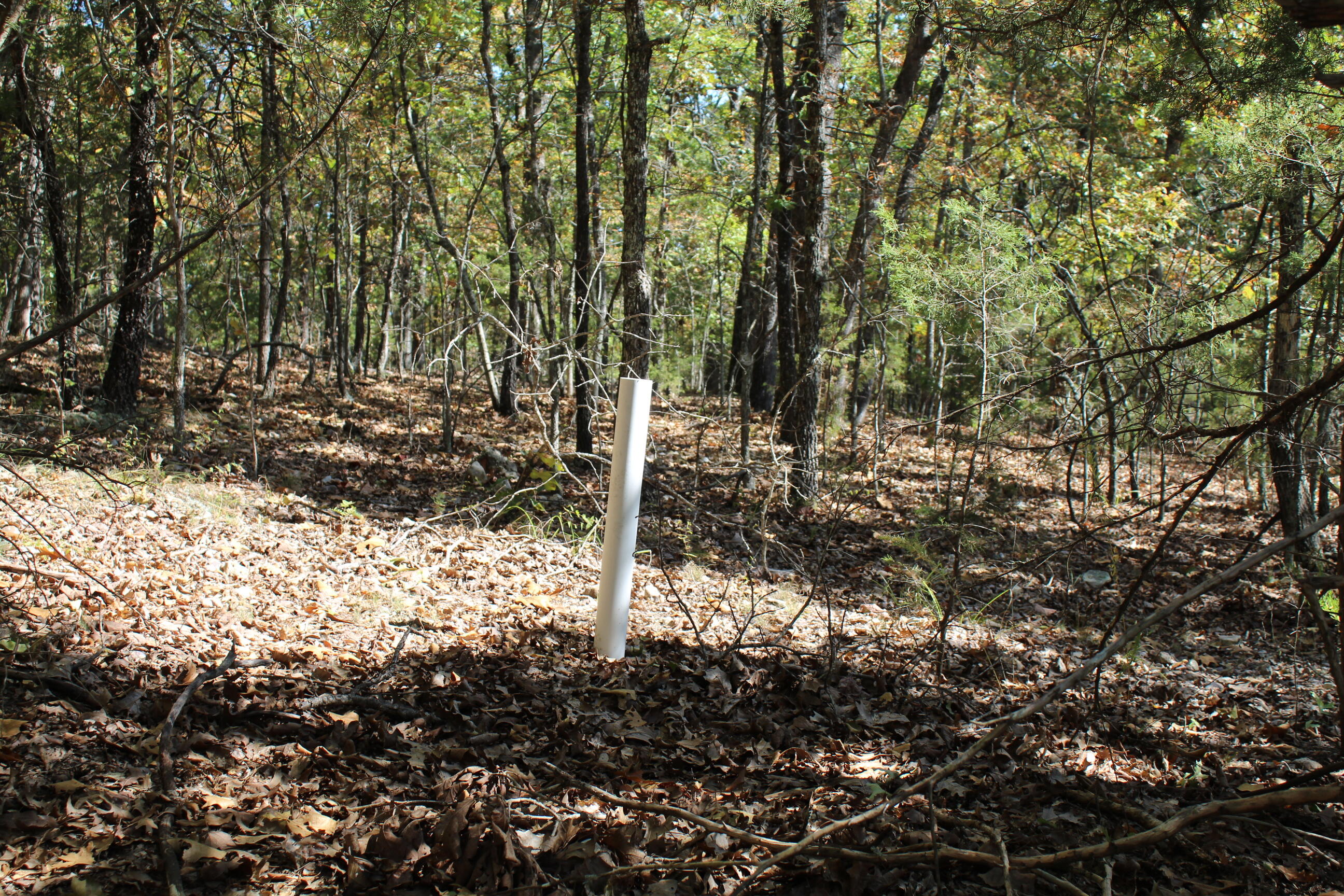 000 Blue Lake Drive Property Photo 22
