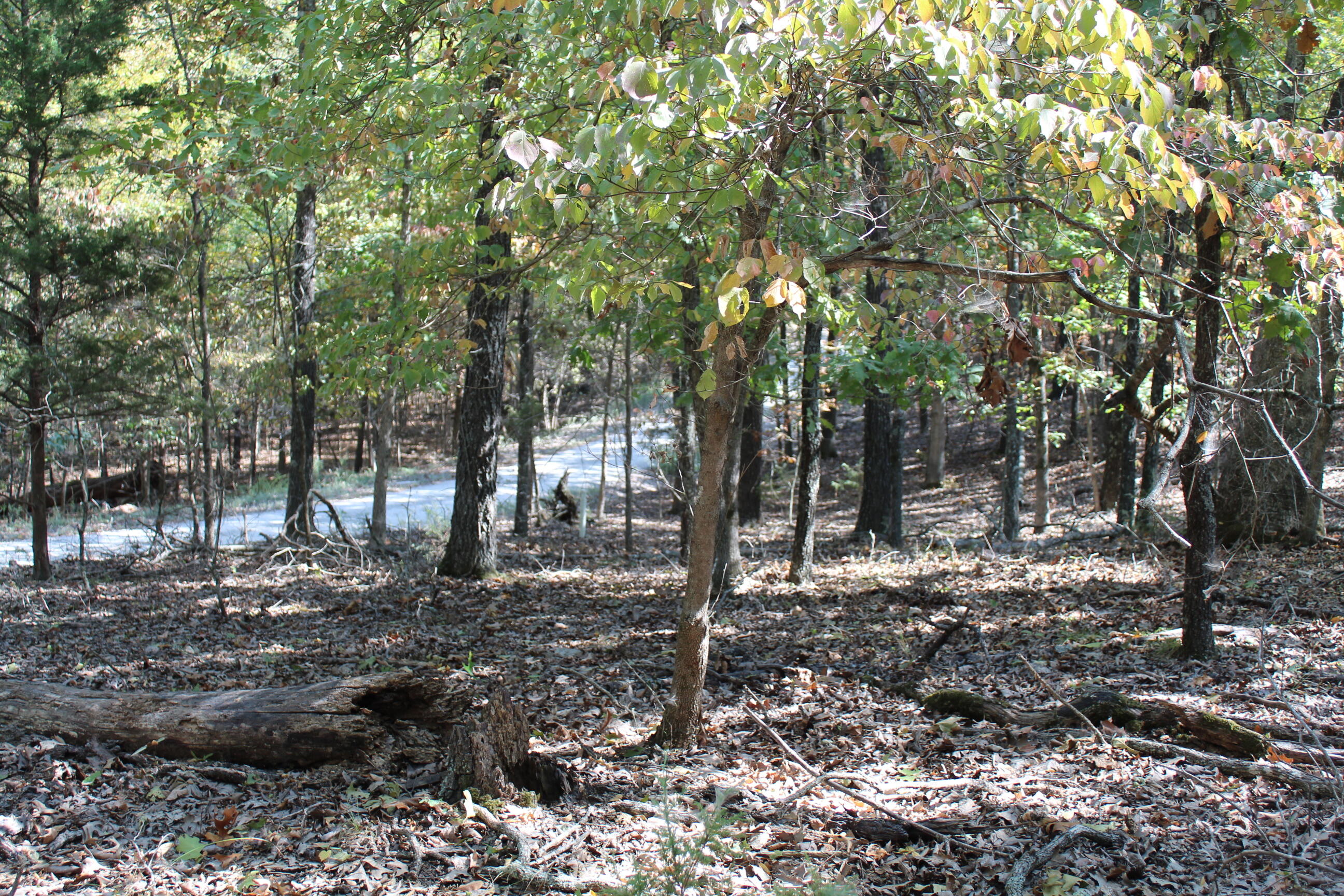 000 Lakeshore Road Property Photo 10