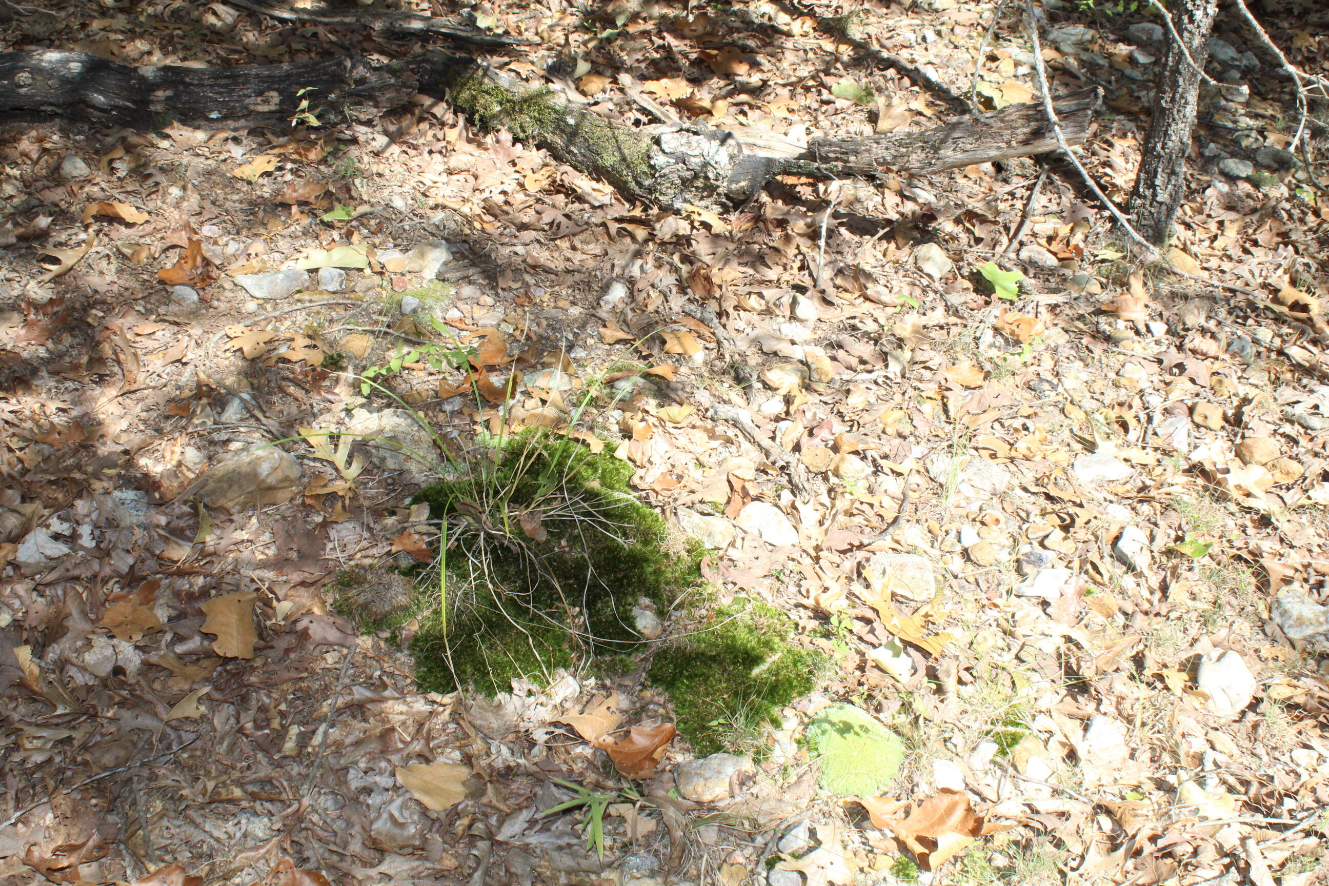 000 Lakeshore Road Property Photo 14