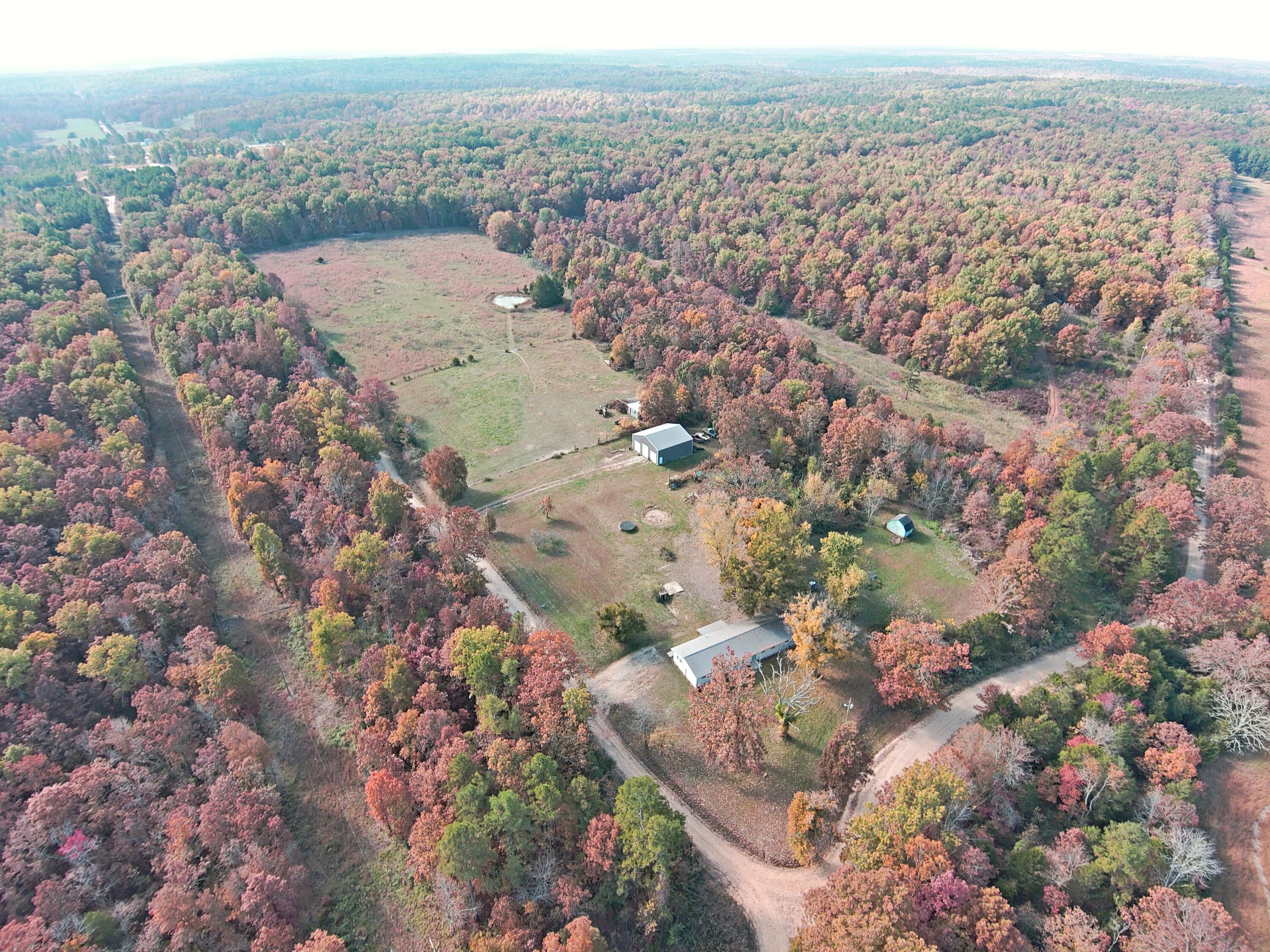 8969 County Road 445 Property Photo 1