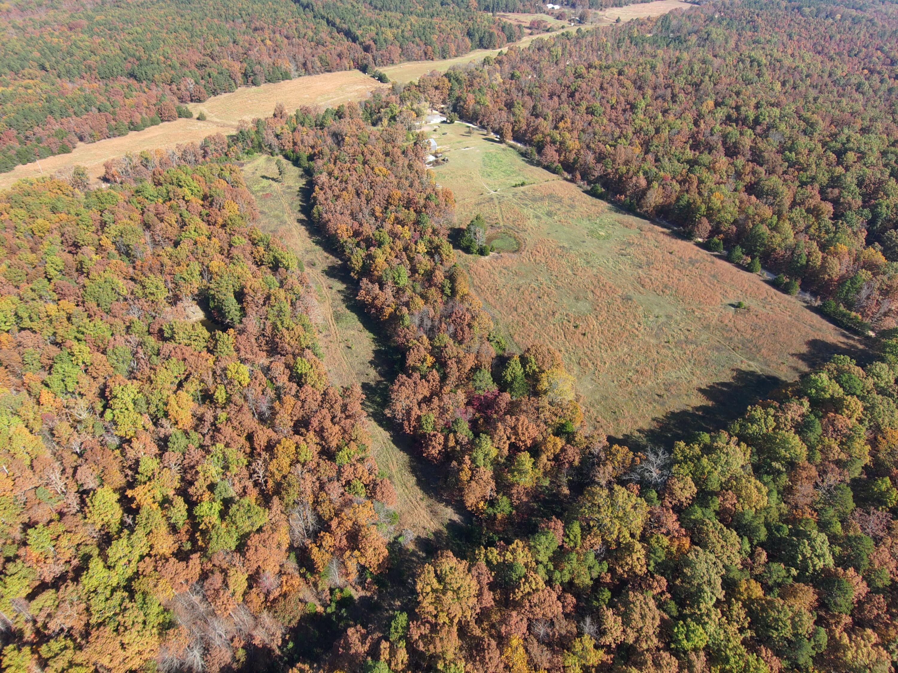 8969 County Road 445 Property Photo 4