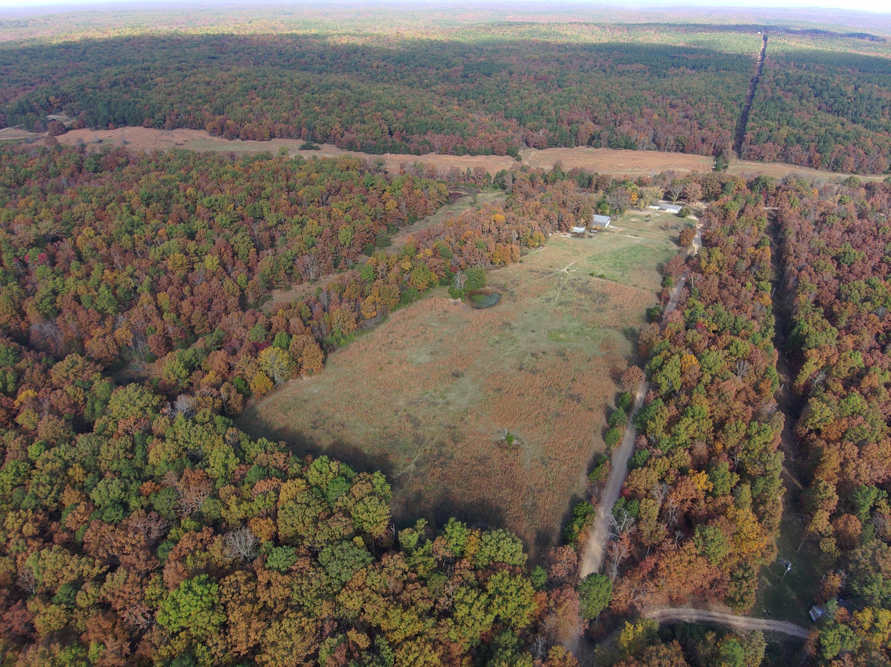 8969 County Road 445 Property Photo 7