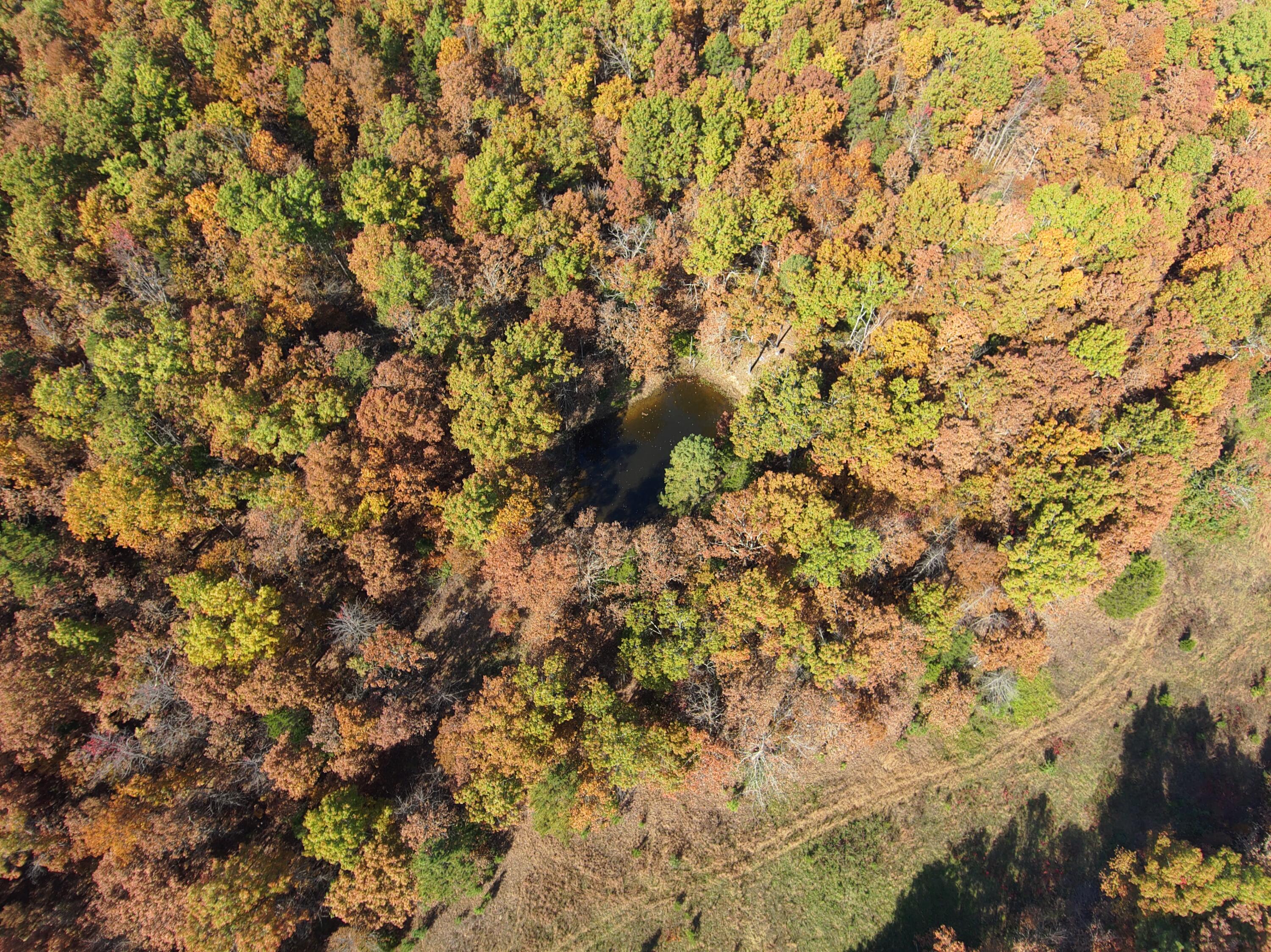 8969 County Road 445 Property Photo 11