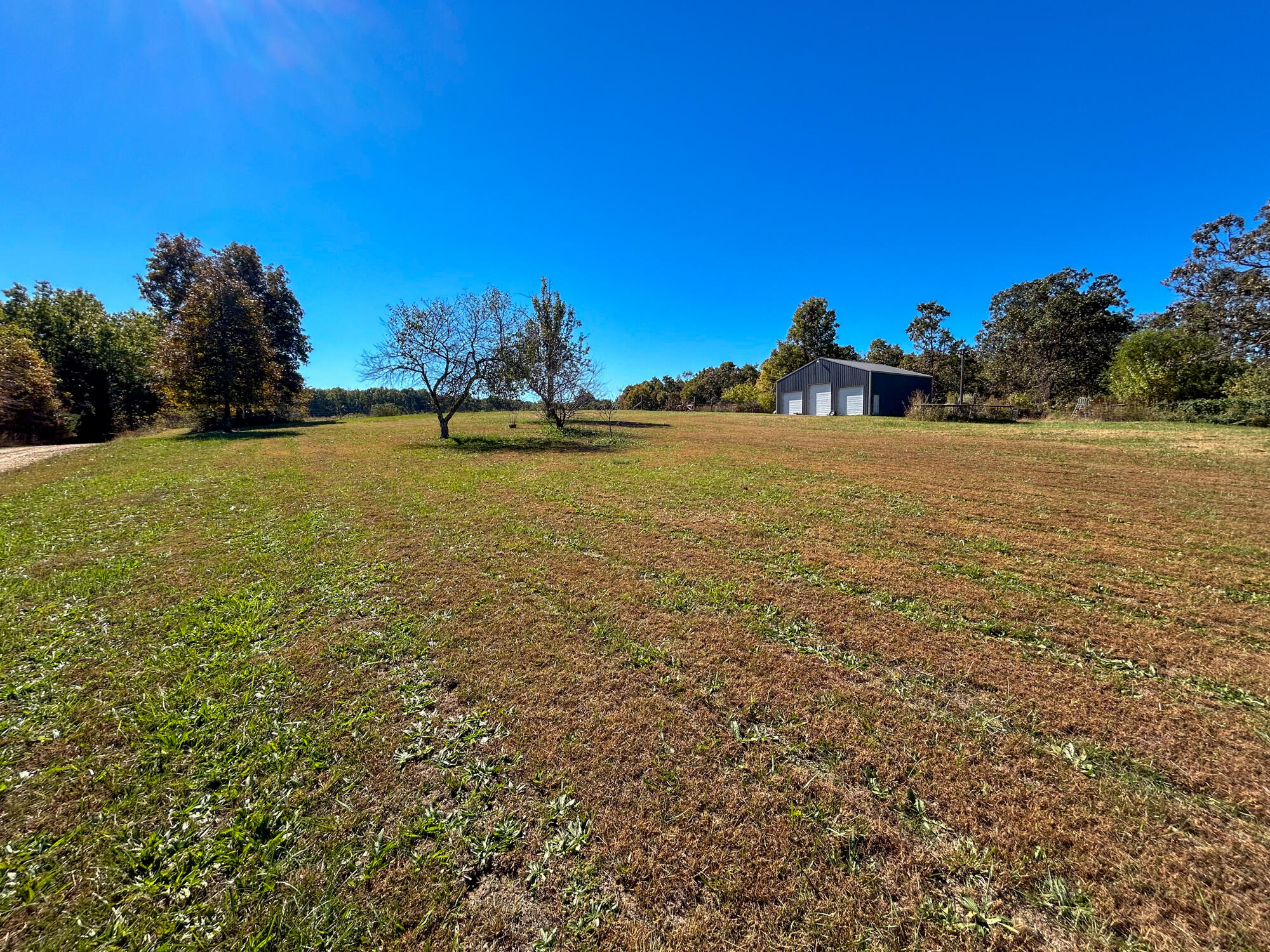 8969 County Road 445 Property Photo 28