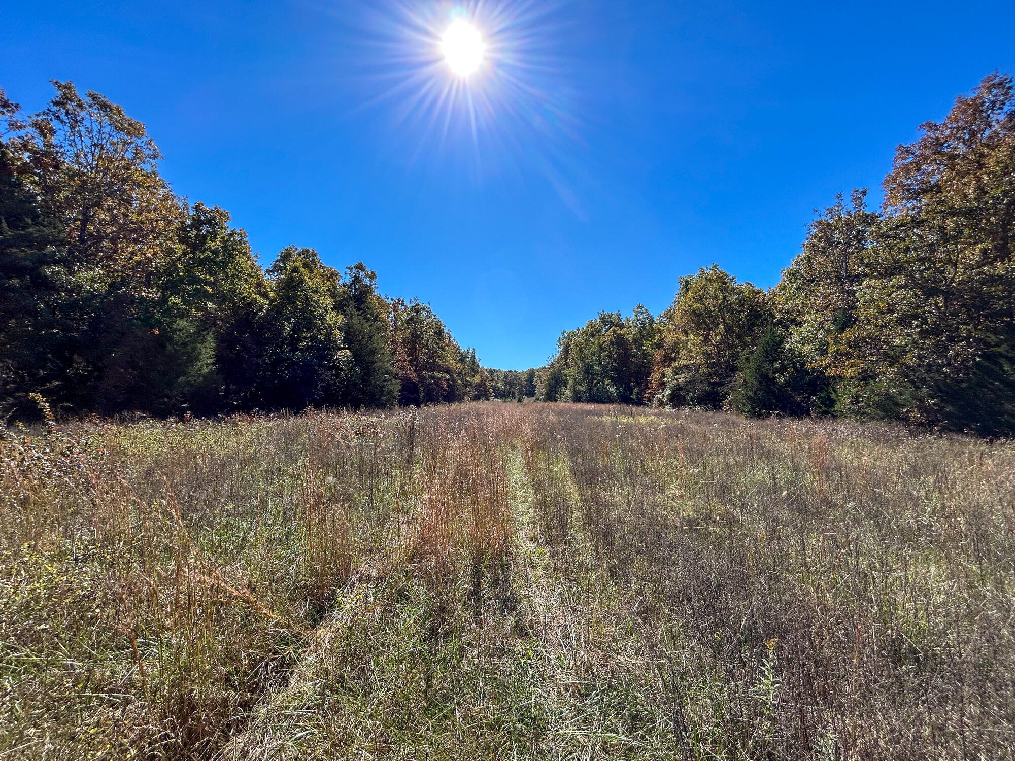 8969 County Road 445 Property Photo 34
