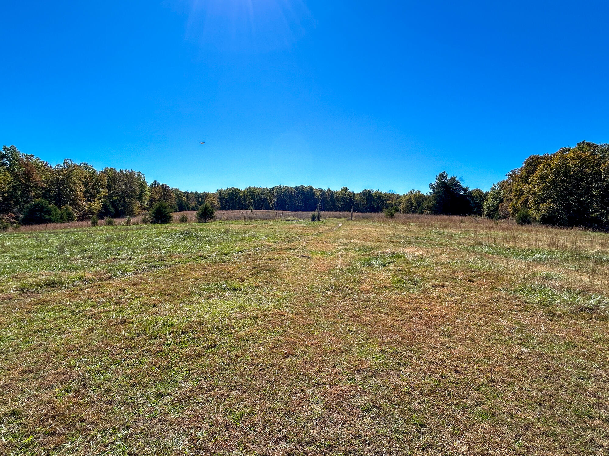 8969 County Road 445 Property Photo 37
