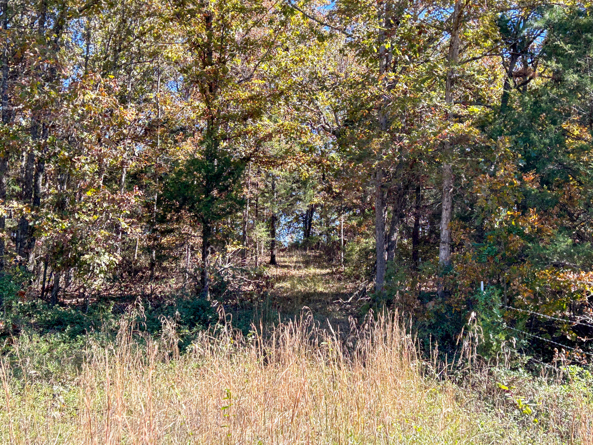 8969 County Road 445 Property Photo 40