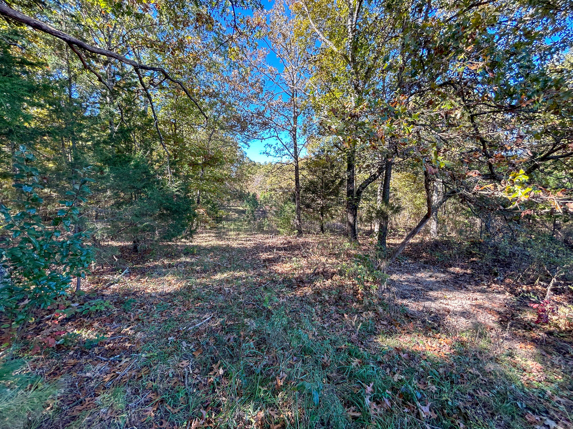 8969 County Road 445 Property Photo 42