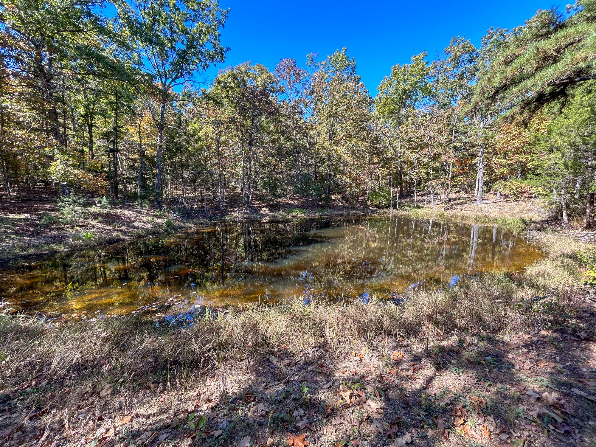 8969 County Road 445 Property Photo 42