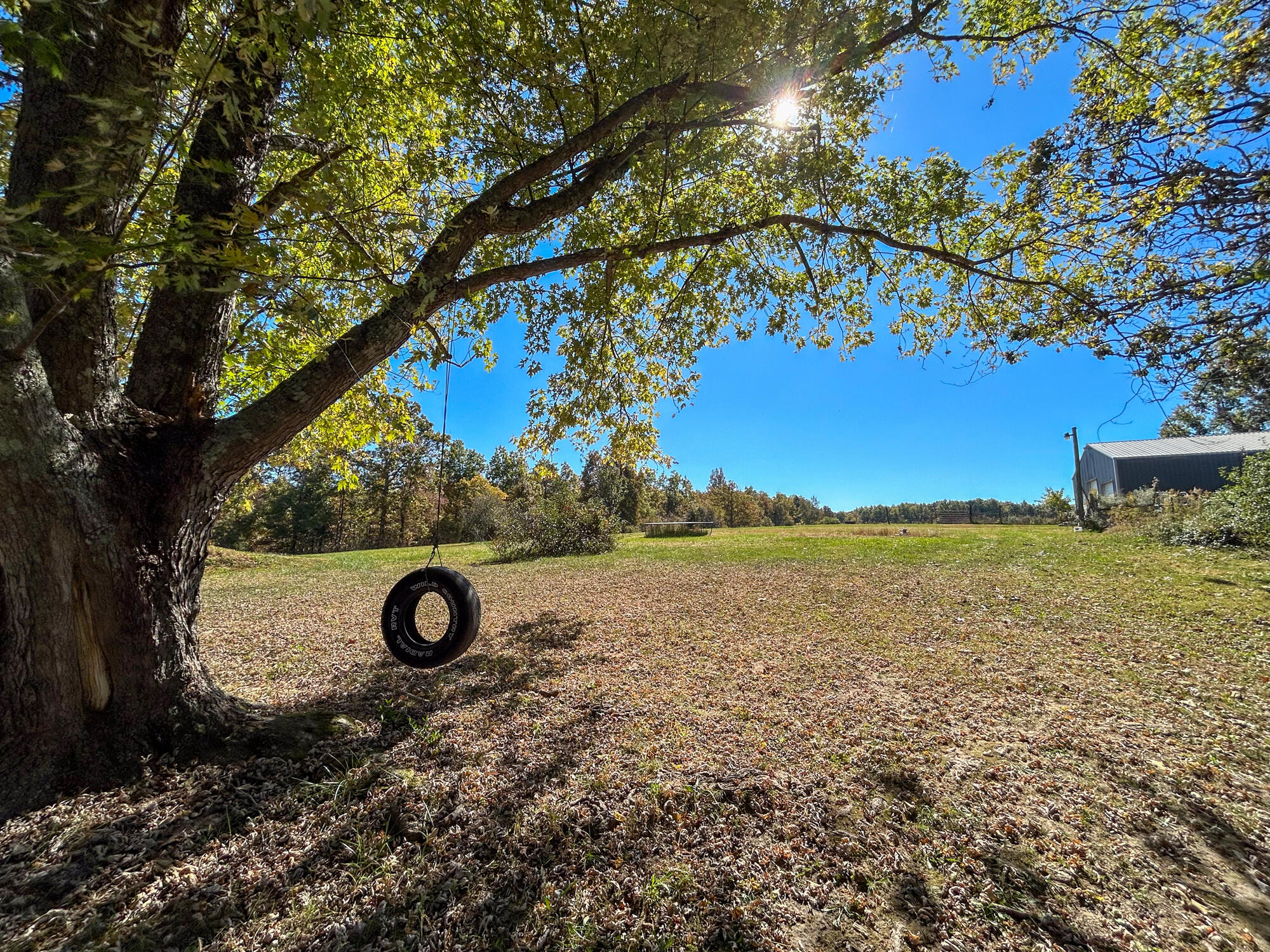 8969 County Road 445 Property Photo 46