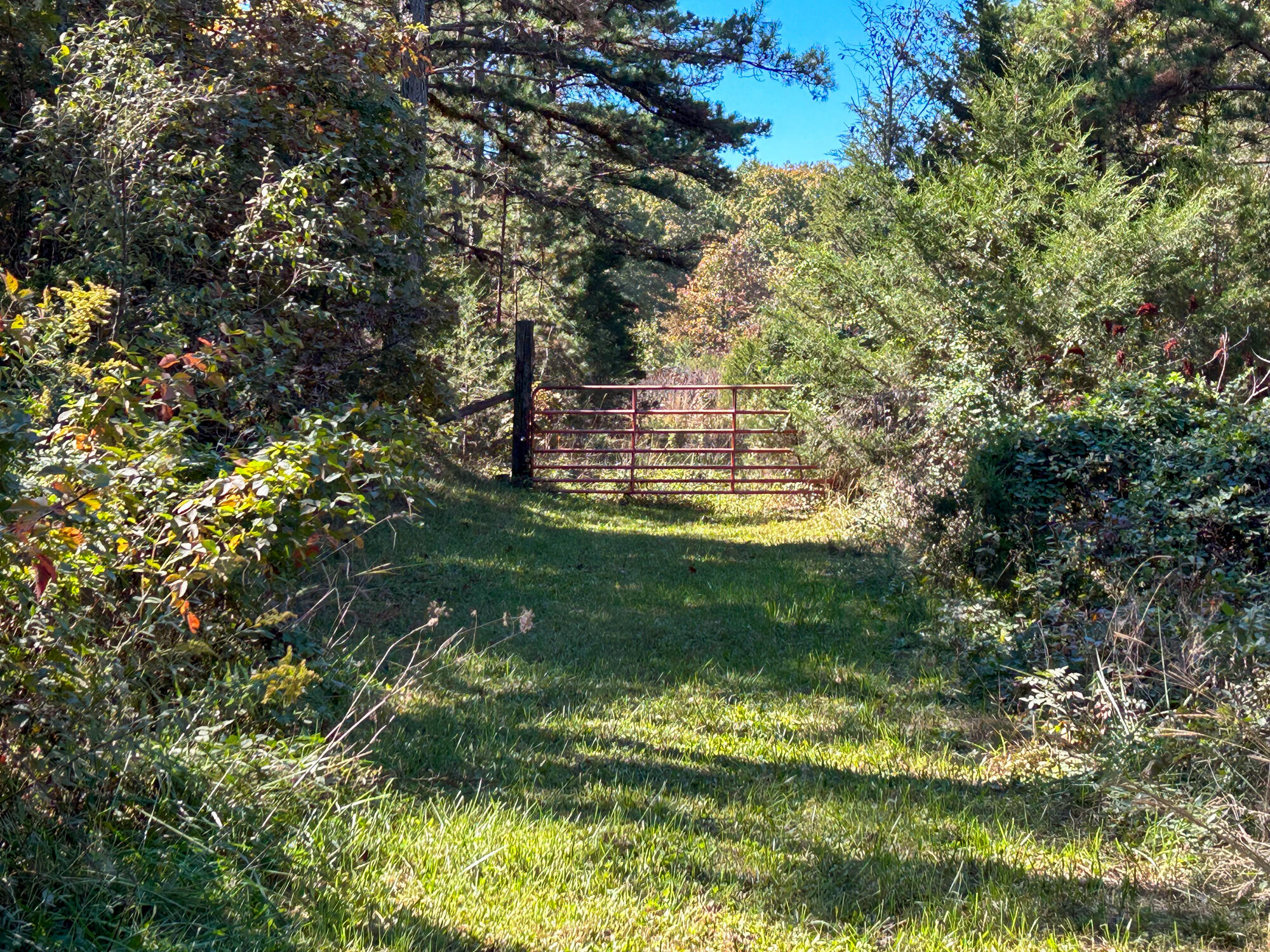 8969 County Road 445 Property Photo 47