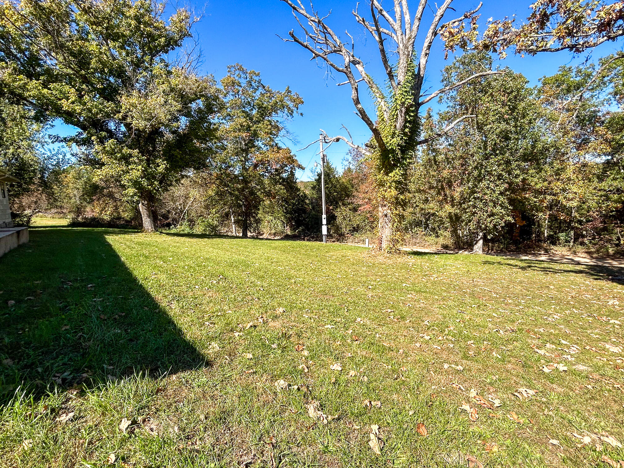 8969 County Road 445 Property Photo 48