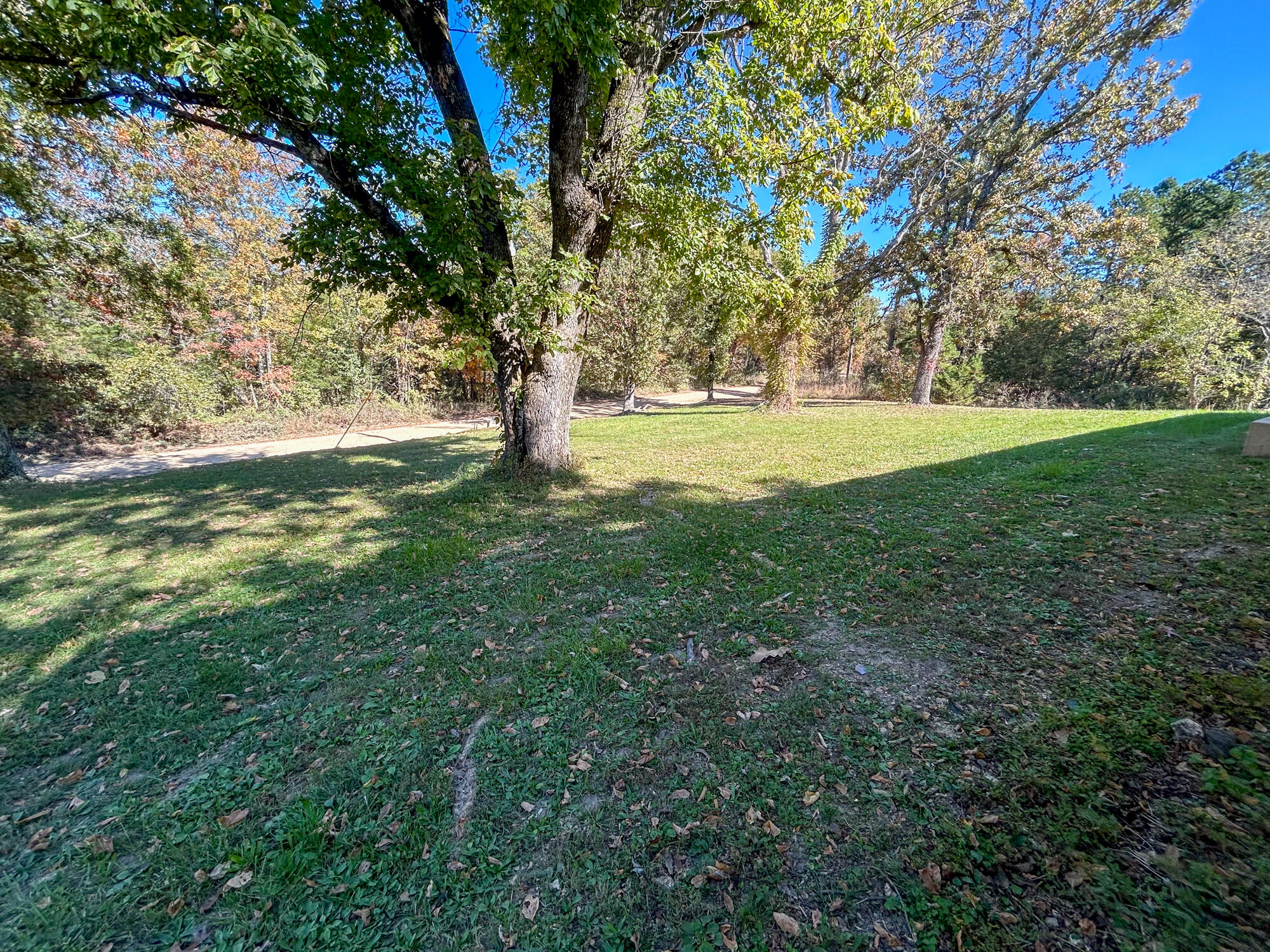 8969 County Road 445 Property Photo 49